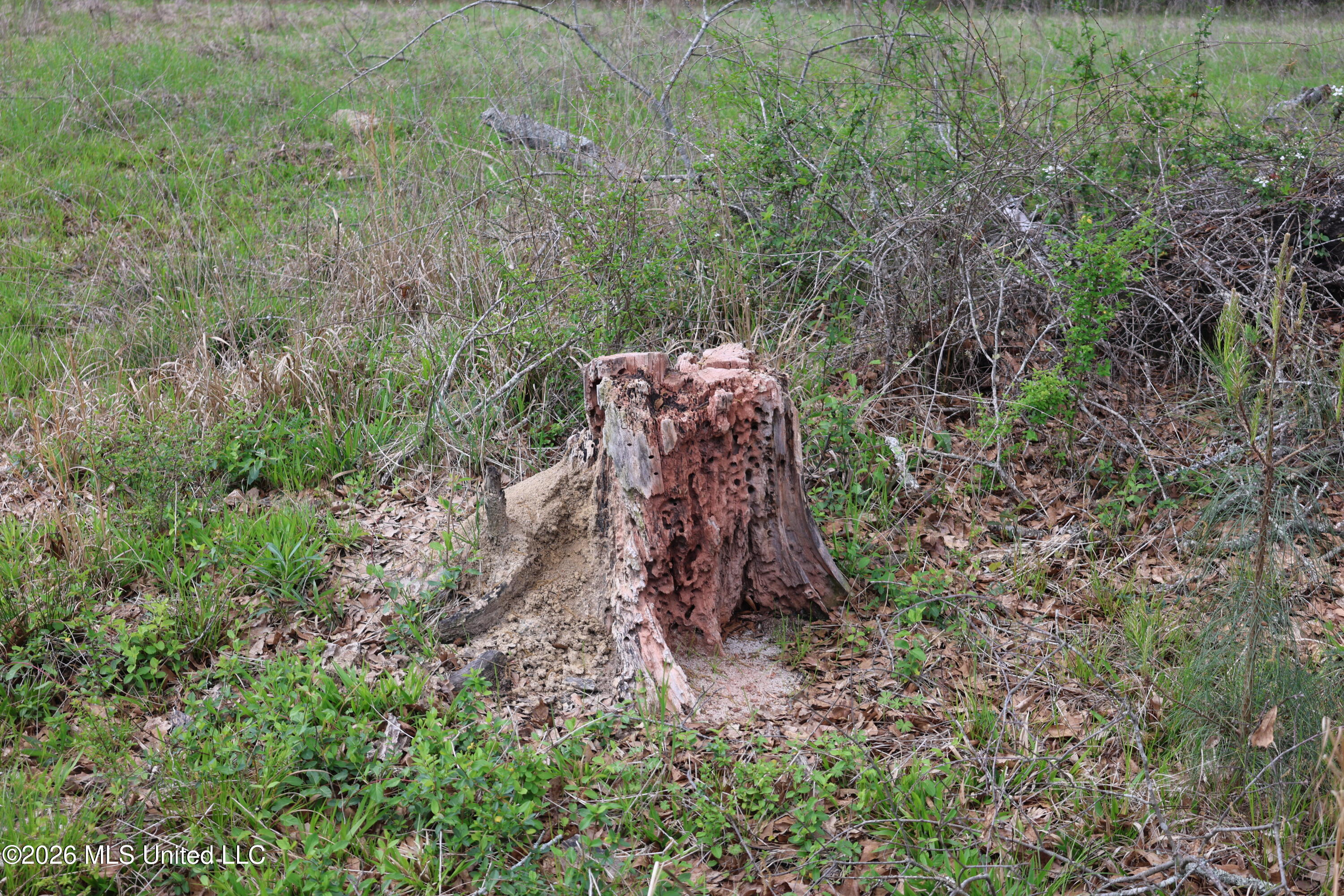 3194 James Road Hazlehurst, MS 39083 - Photo 35 of 114 4CDBC9EC-0345-43AC-87B3-BB77CB12F0B5