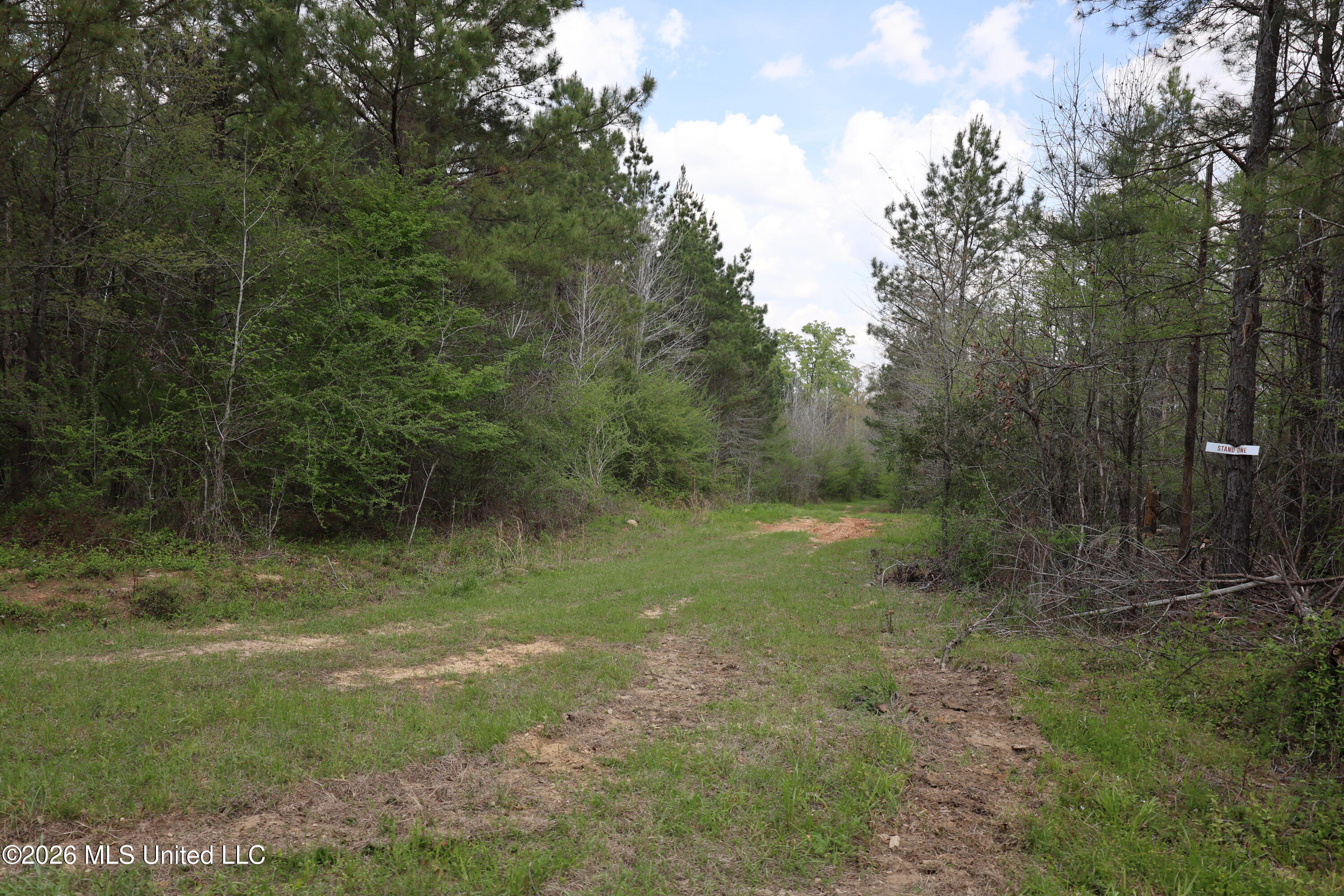 3194 James Road Hazlehurst, MS 39083 - Photo 36 of 114 5DBC84A9-A87F-4FAB-B904-D8A7ED83A094