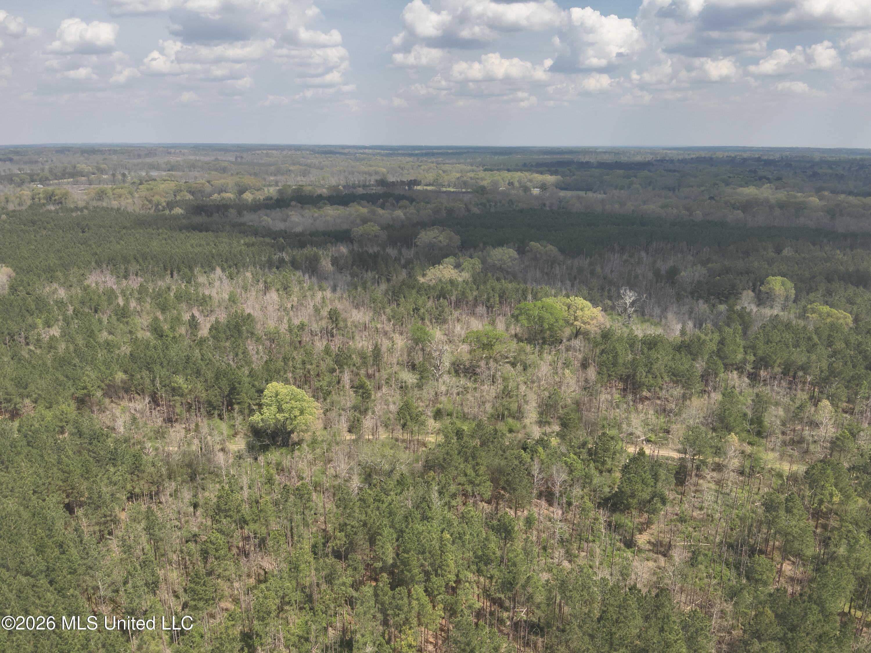3194 James Road Hazlehurst, MS 39083 - Photo 4 of 114 DJI_20260325131534_0015_V