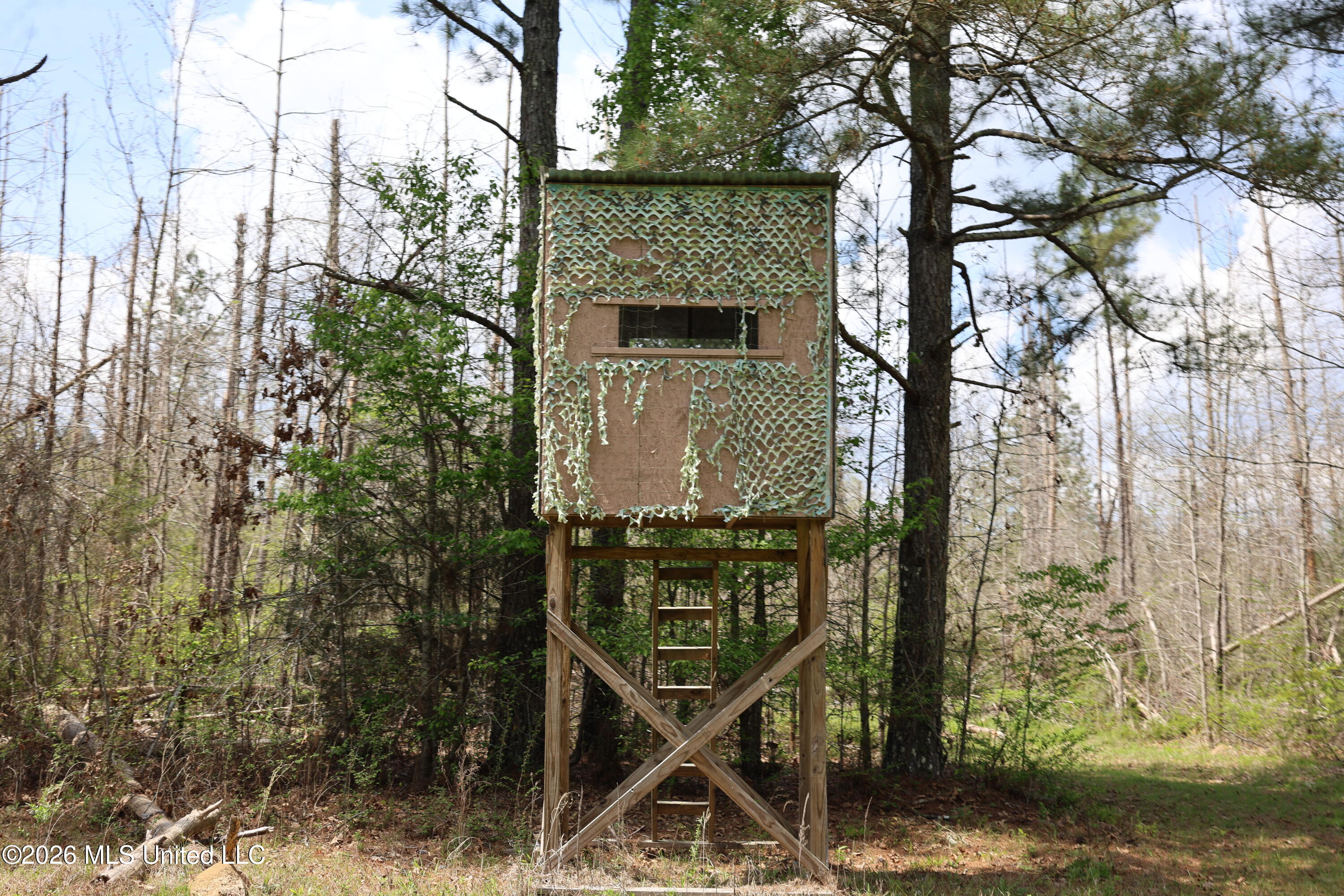 3194 James Road Hazlehurst, MS 39083 - Photo 41 of 114 27C20D8F-5E52-4BF5-86A5-284533F4B2E6