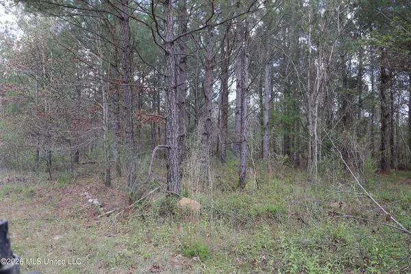 $1,848,000 | 3194 James Road, Hazlehurst, MS 39083