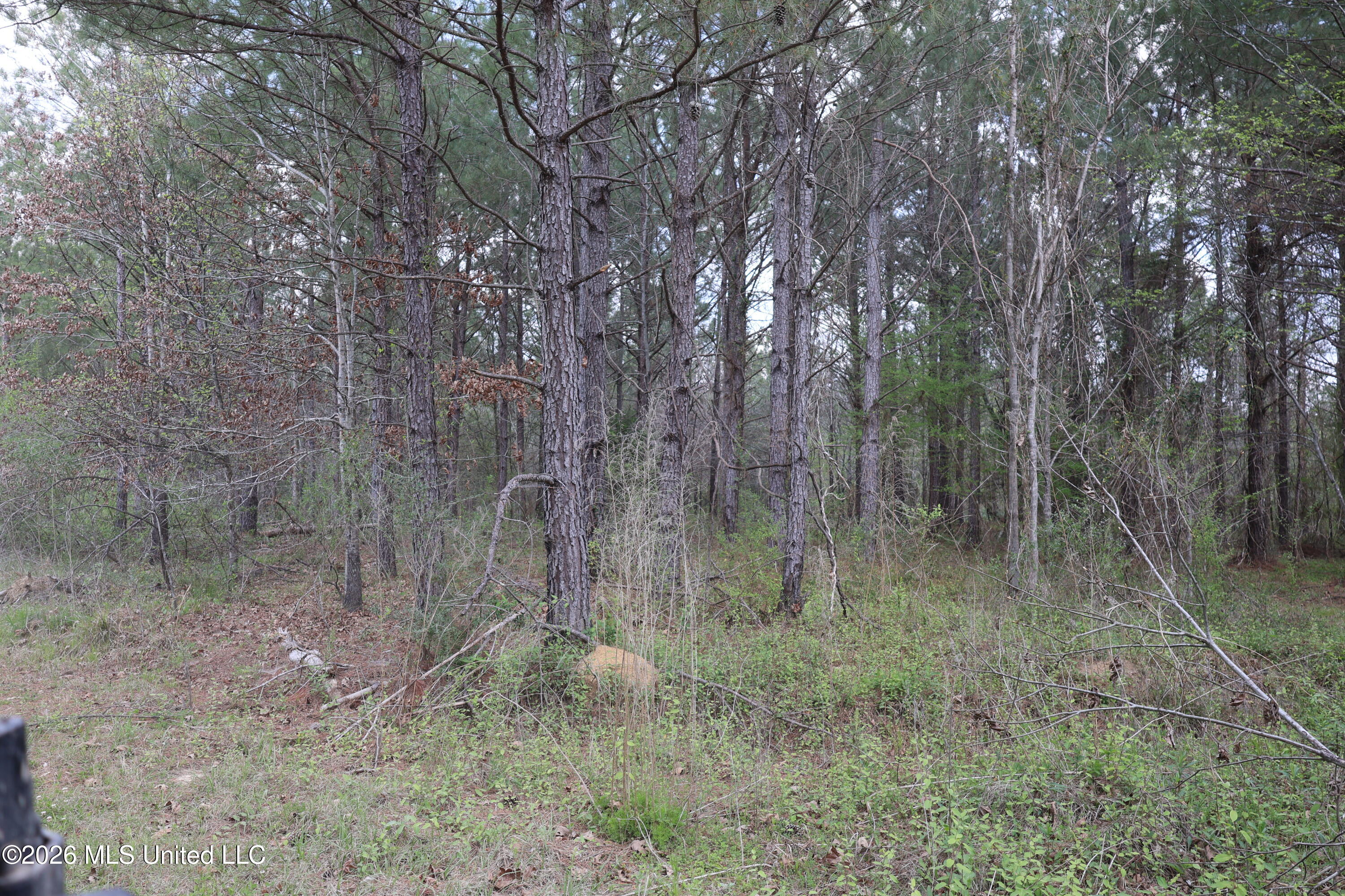 3194 James Road Hazlehurst, MS 39083 - Photo 43 of 114 37EB2DAB-C670-4C1B-B697-0E61E868D964