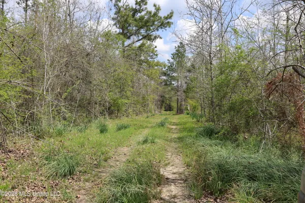 $1,848,000 | 3194 James Road, Hazlehurst, MS 39083
