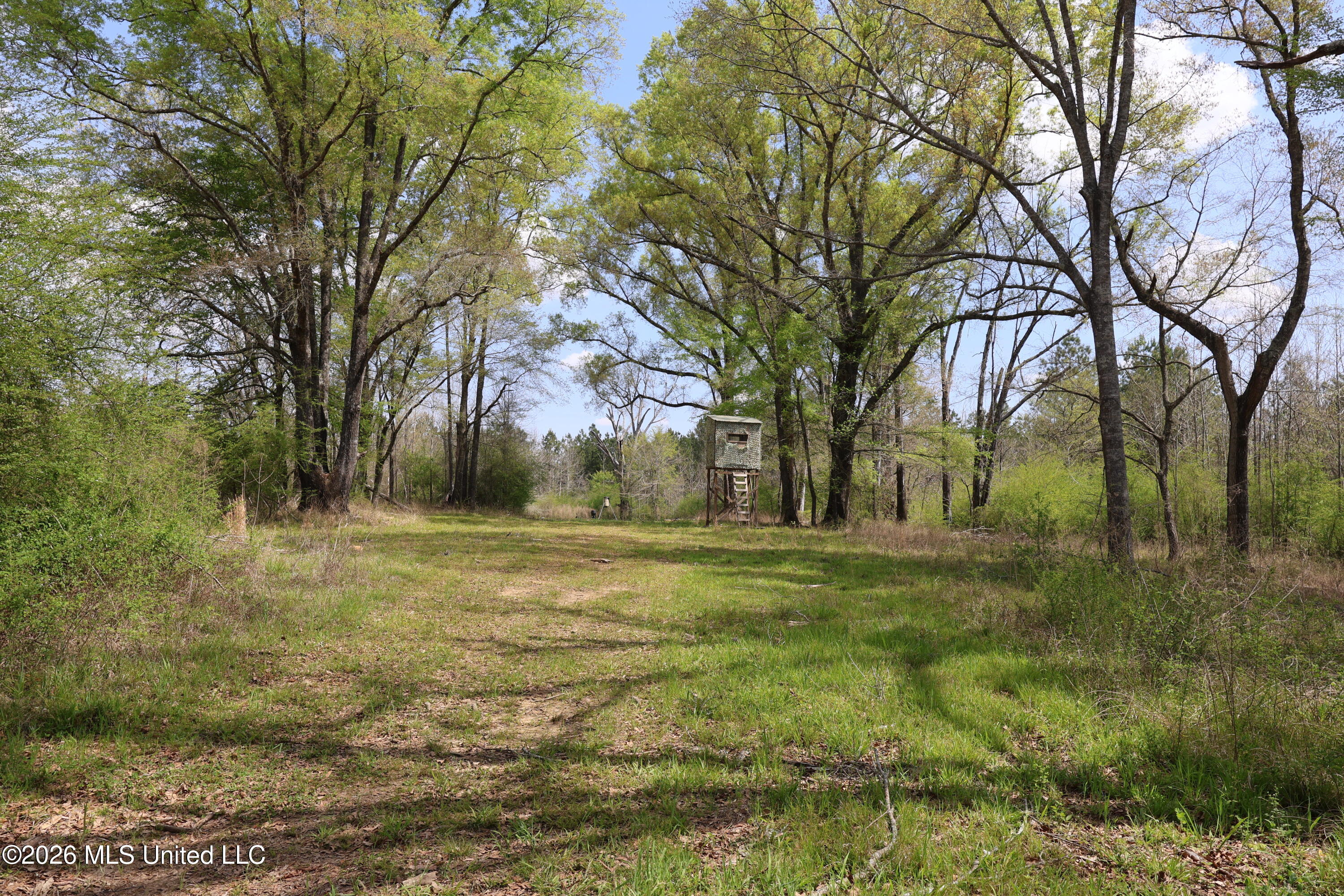 3194 James Road Hazlehurst, MS 39083 - Photo 46 of 114 109CC0E7-A615-4DCB-AE65-FD486D305CA1