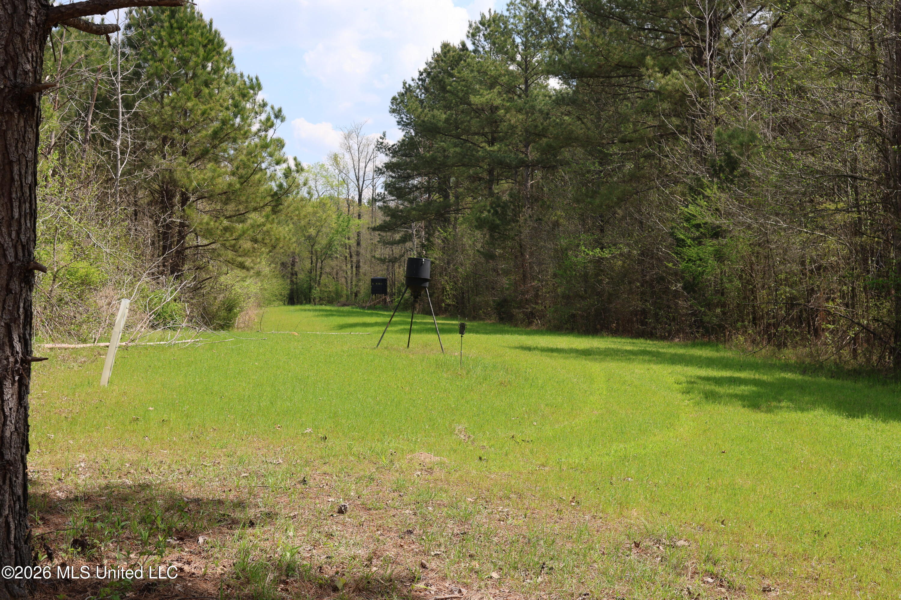 3194 James Road Hazlehurst, MS 39083 - Photo 47 of 114 221CA194-EDF6-4AD0-9093-EF66328E24AD