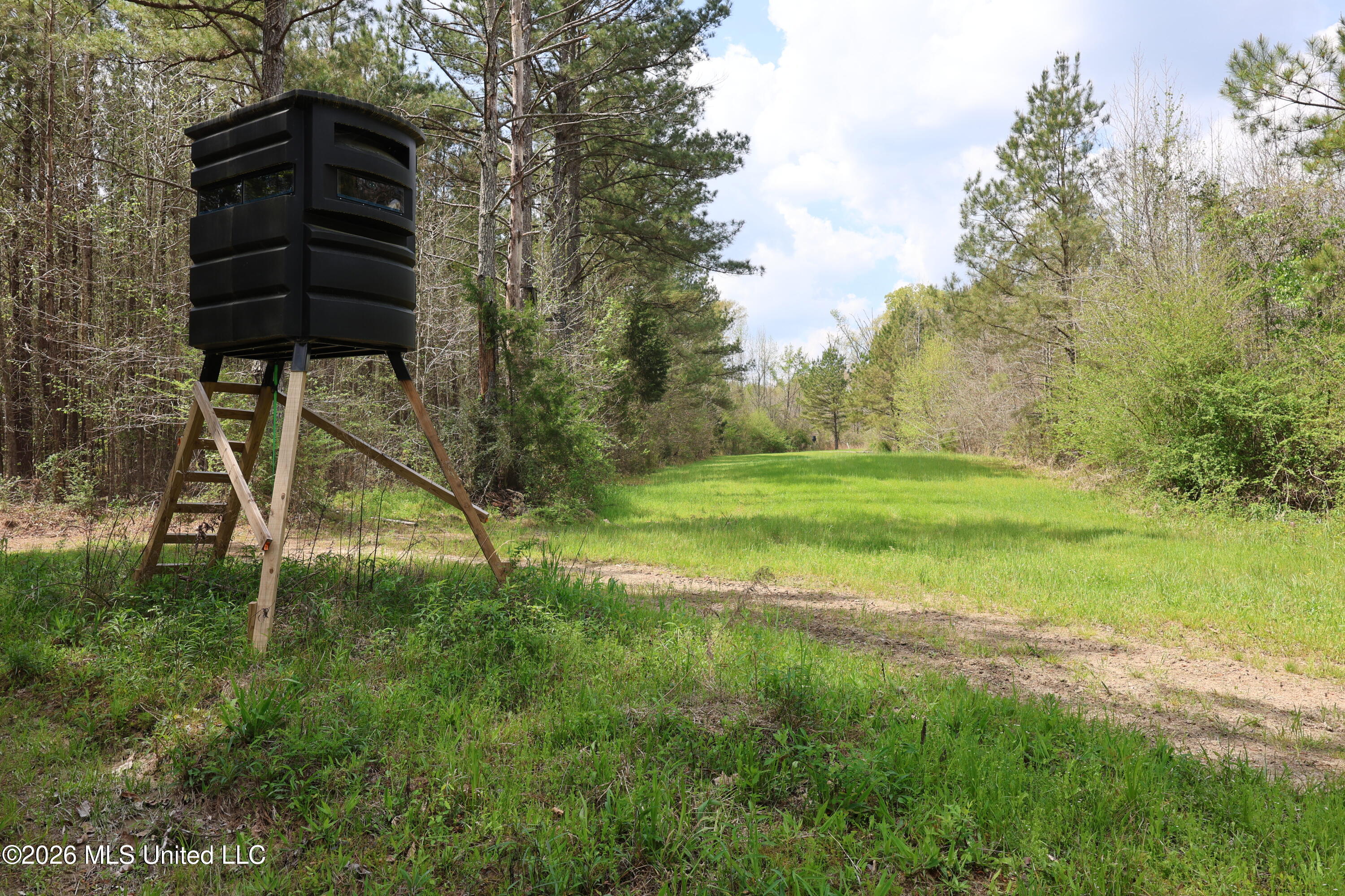 3194 James Road Hazlehurst, MS 39083 - Photo 48 of 114 315CDB71-9F3E-4708-829E-3694A289A897