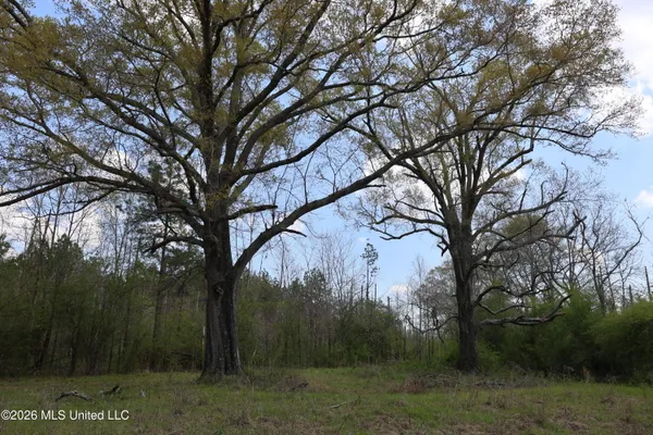 $1,848,000 | 3194 James Road, Hazlehurst, MS 39083