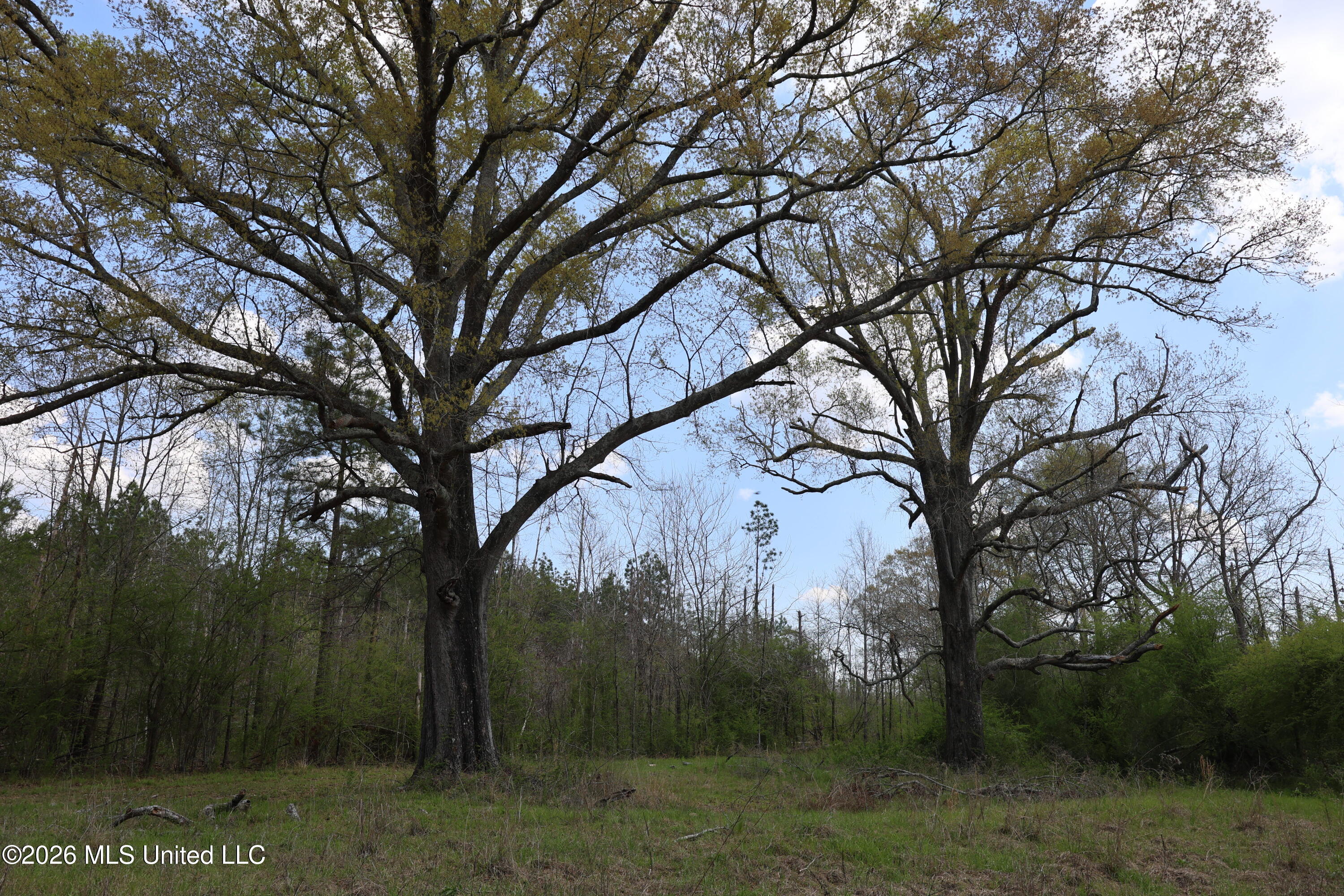 3194 James Road Hazlehurst, MS 39083 - Photo 49 of 114 494B4AC2-7987-4372-83F9-E7CE4A0EDC68