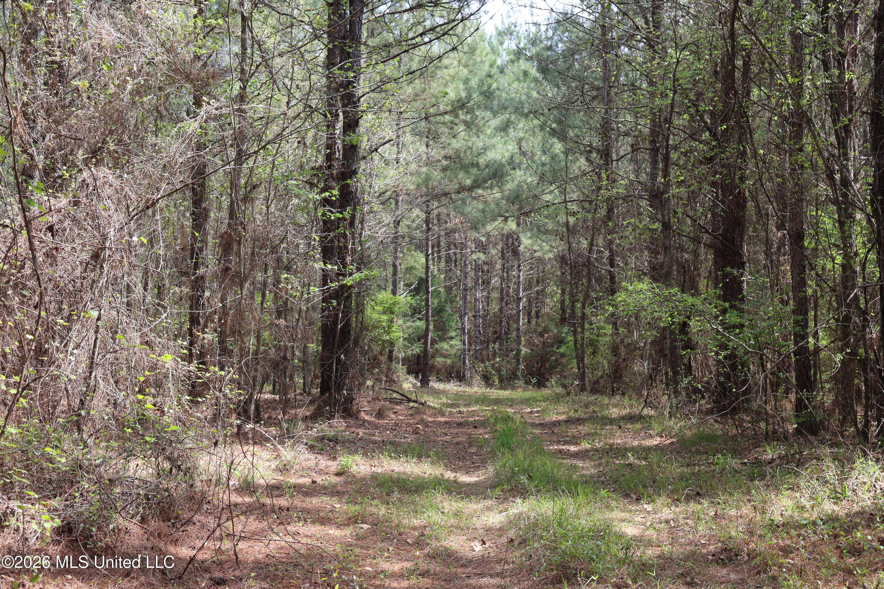 3194 James Road Hazlehurst, MS 39083 - Photo 50 of 114 518C5E35-301F-4B6A-A16E-F54ABF6D19F8