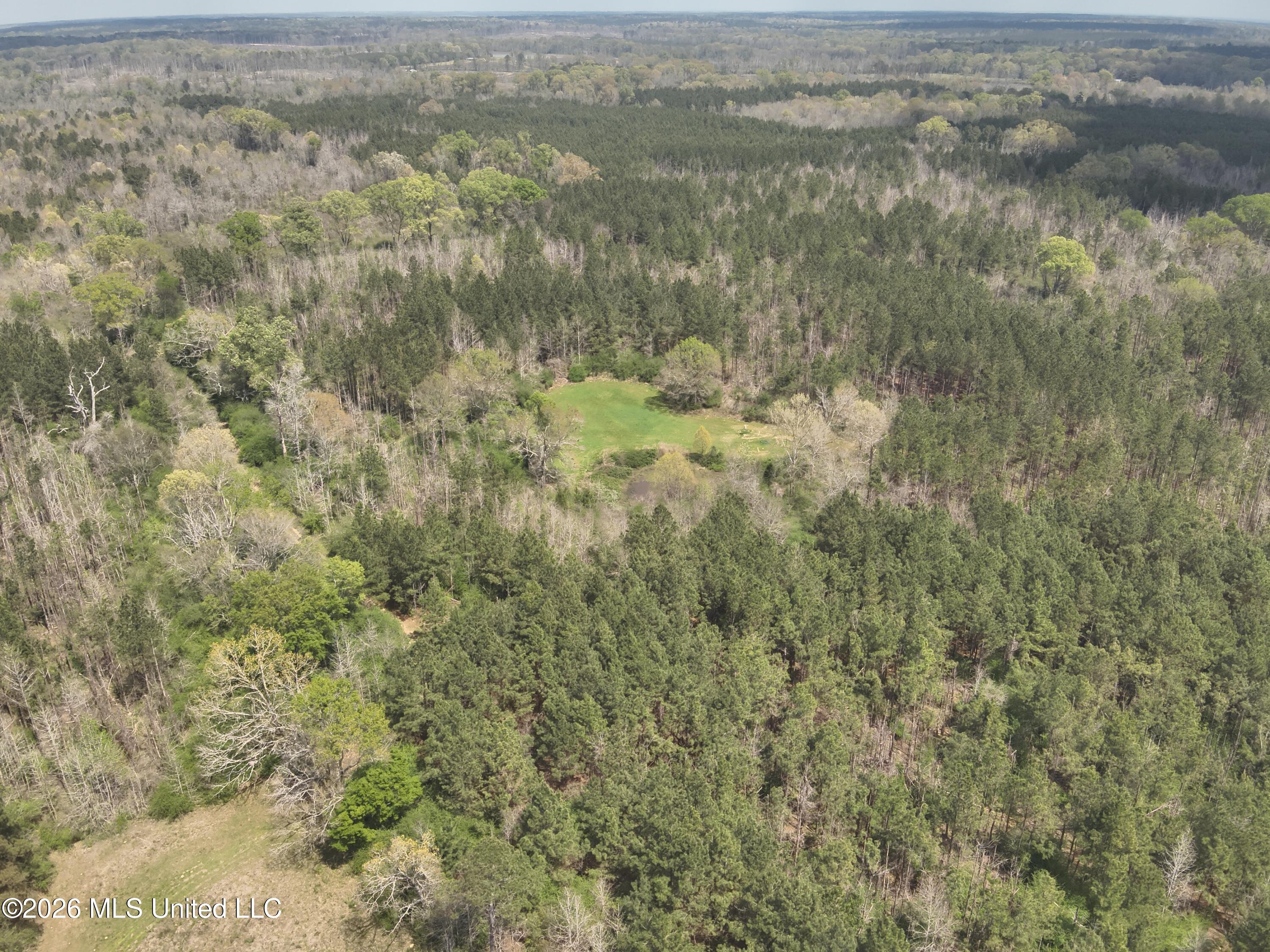 3194 James Road Hazlehurst, MS 39083 - Photo 5 of 114 DJI_20260325131337_0013_V