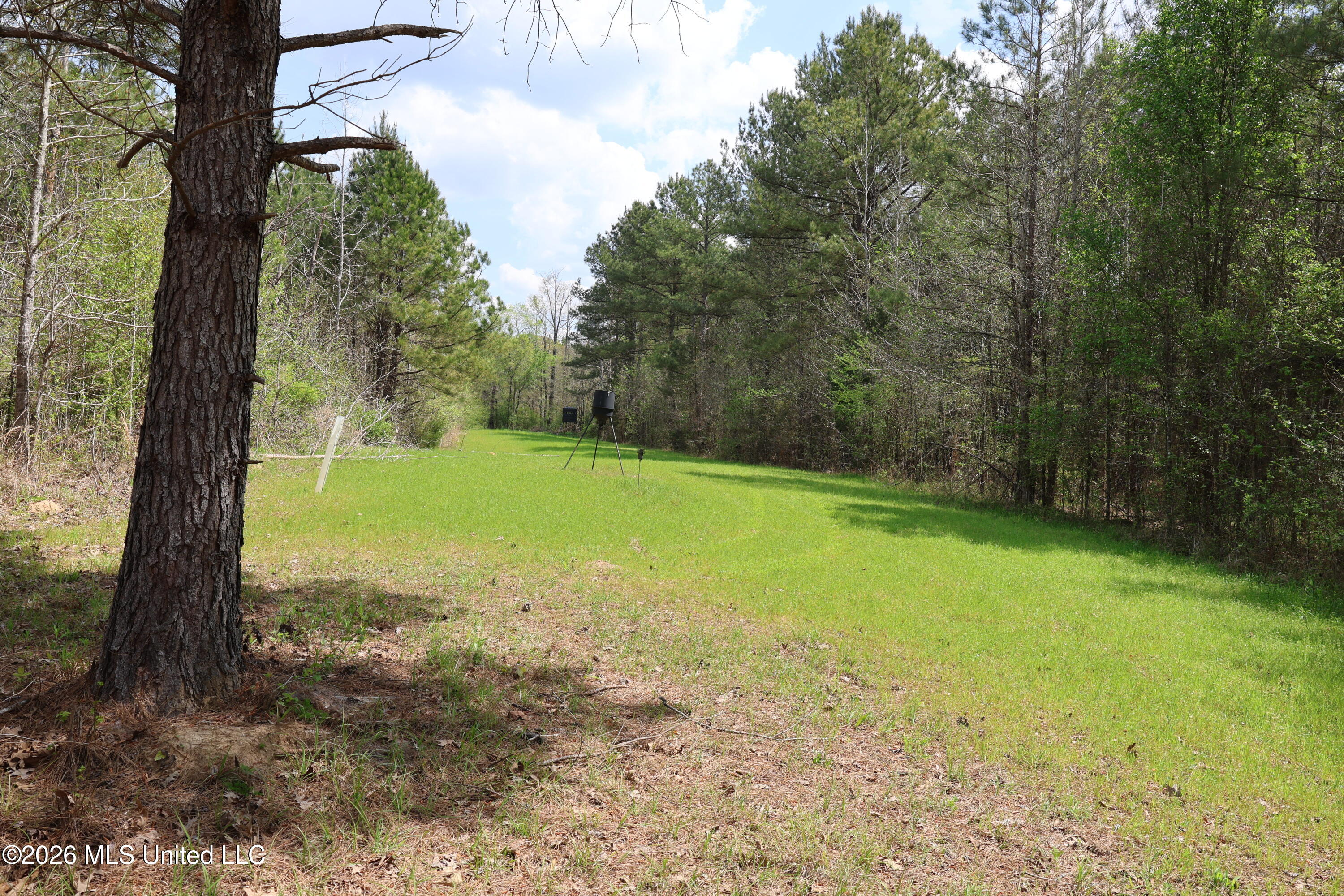 3194 James Road Hazlehurst, MS 39083 - Photo 52 of 114 873B5666-519D-4951-8B21-EF635BF019F0