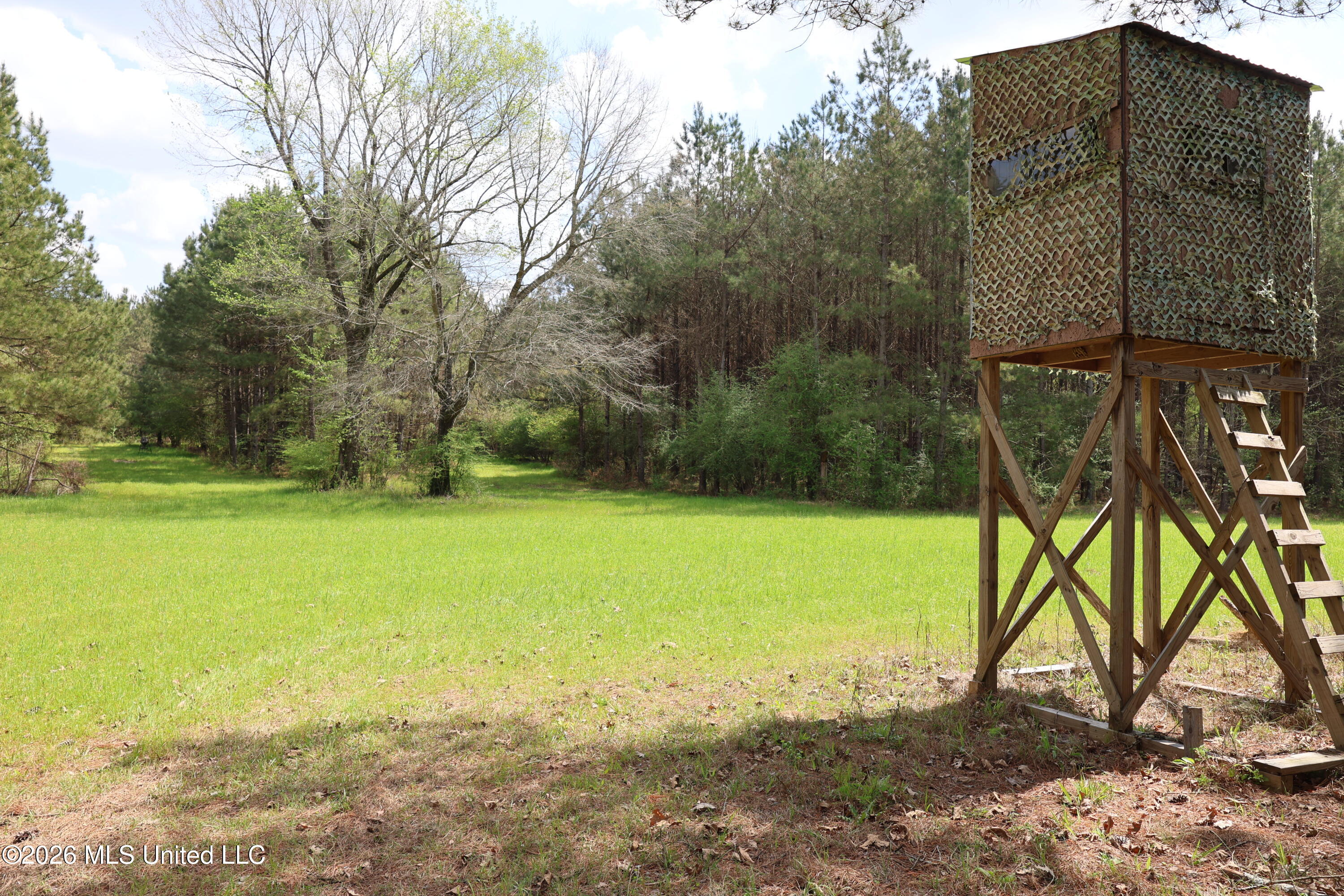3194 James Road Hazlehurst, MS 39083 - Photo 54 of 114 8703DA03-A9A3-4E6E-BDC7-DF26AE4B4A75