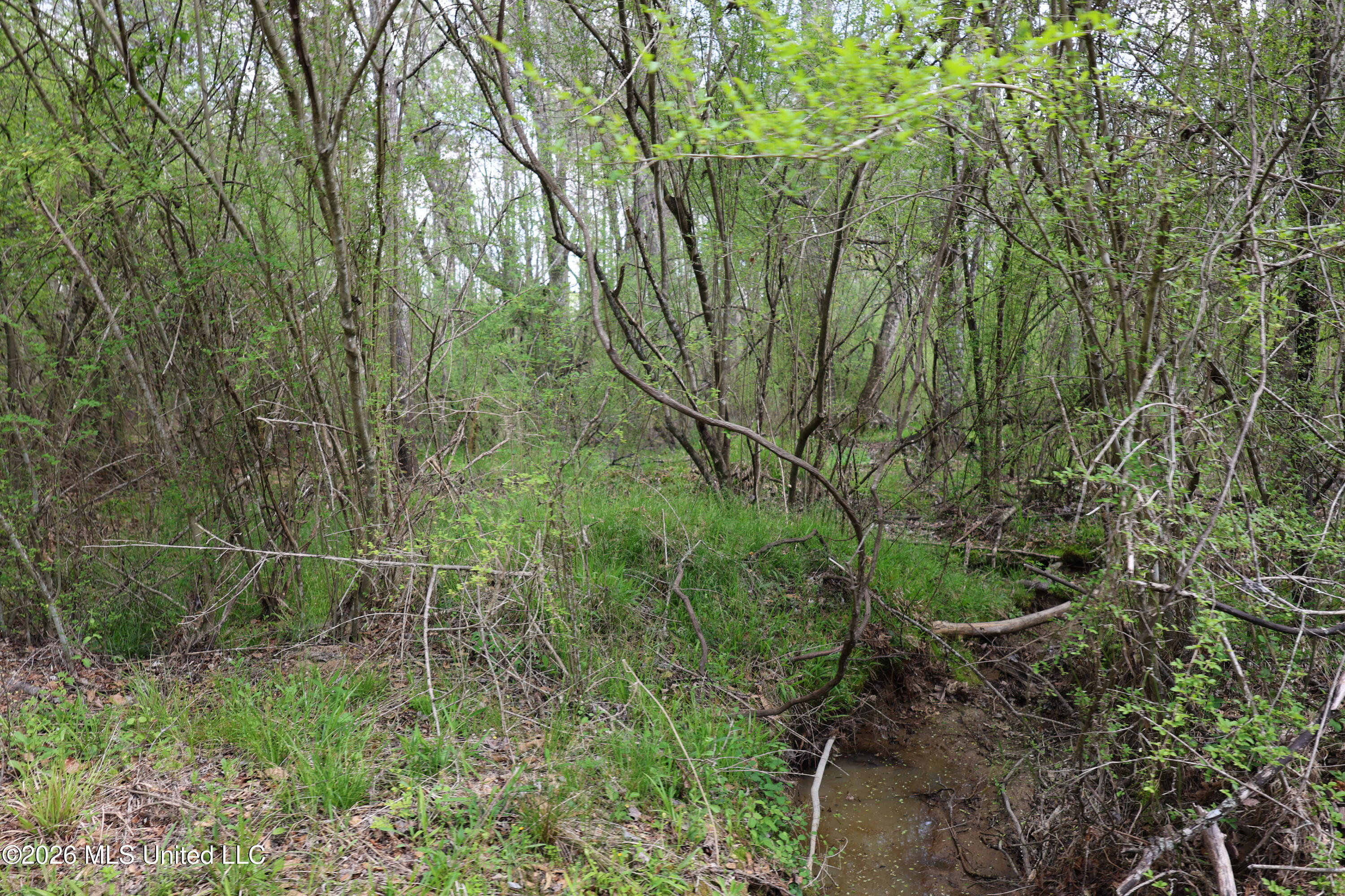3194 James Road Hazlehurst, MS 39083 - Photo 55 of 114 9467E5DD-705D-4C57-9A2A-5AA48A7DF2BC