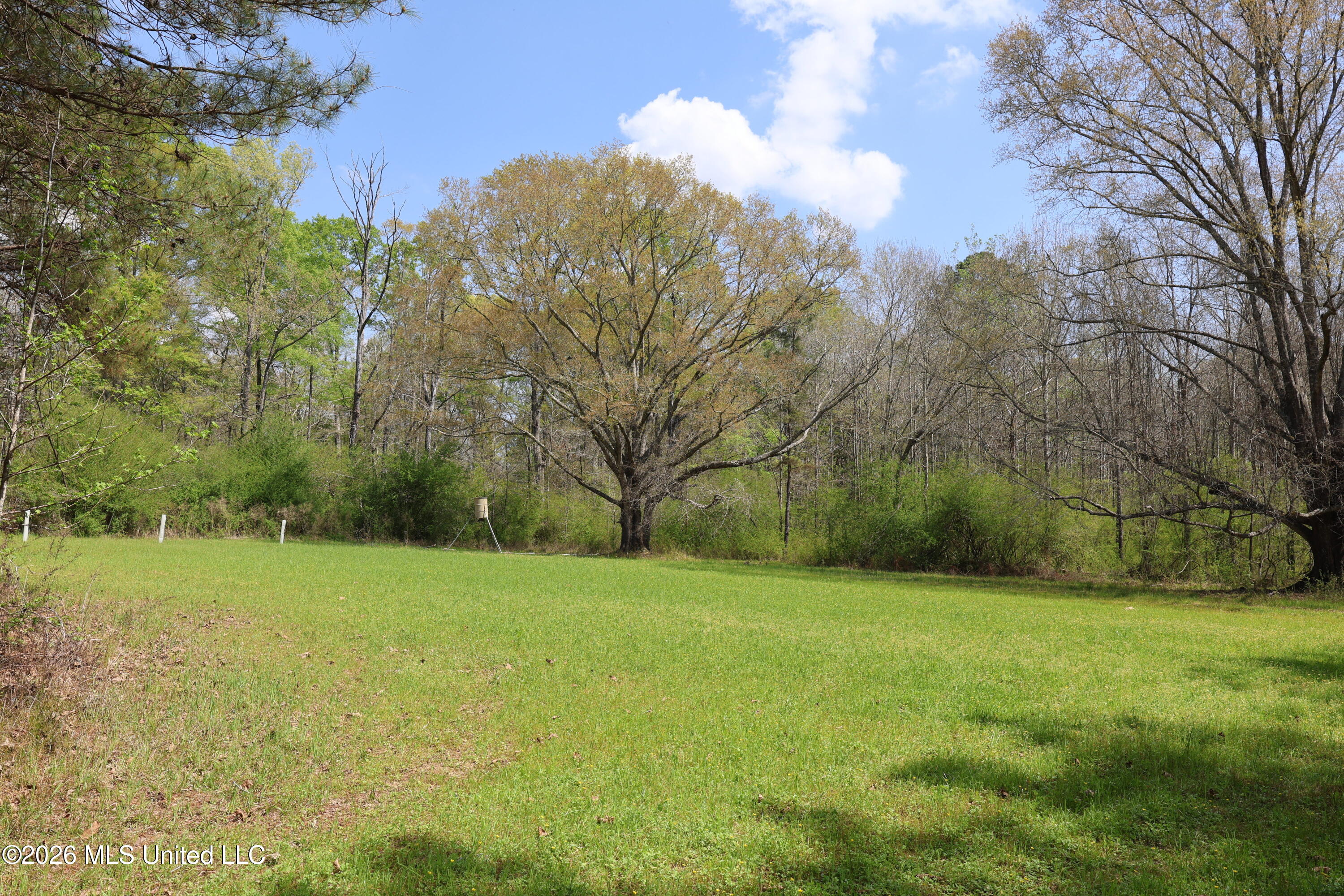 3194 James Road Hazlehurst, MS 39083 - Photo 56 of 114 36456B0B-8394-4289-89F8-3EDDBCF62A79