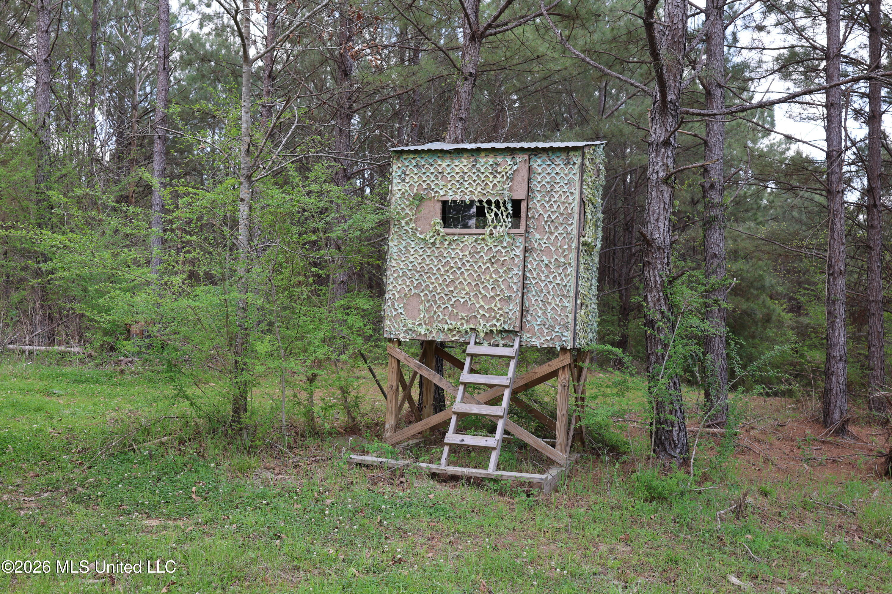 3194 James Road Hazlehurst, MS 39083 - Photo 58 of 114 837366DE-8EB0-4FF6-A2F4-59294B371FD7
