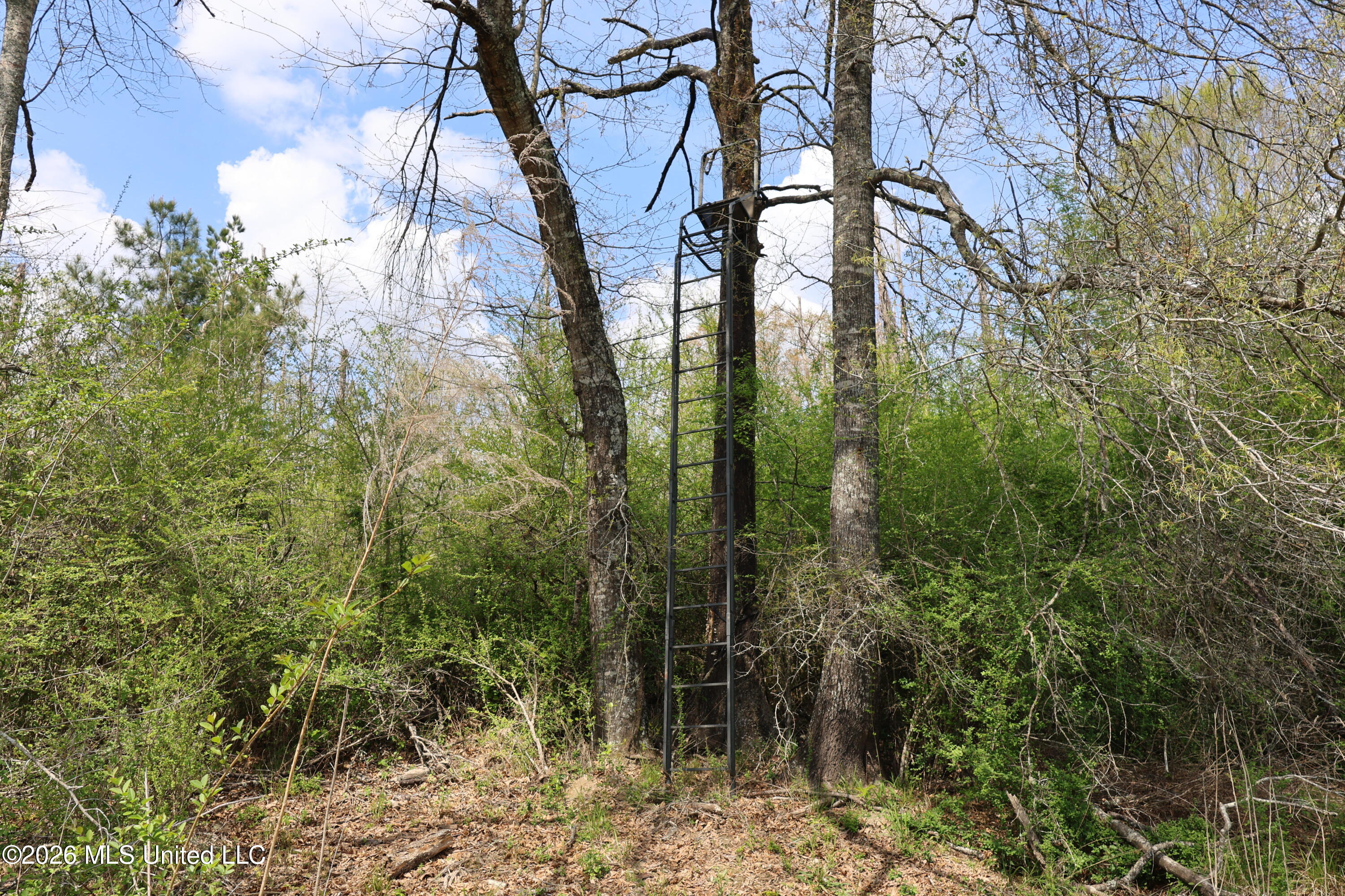3194 James Road Hazlehurst, MS 39083 - Photo 60 of 114 A6EAE1CF-30A8-44EA-B123-77B40BD7AE5E