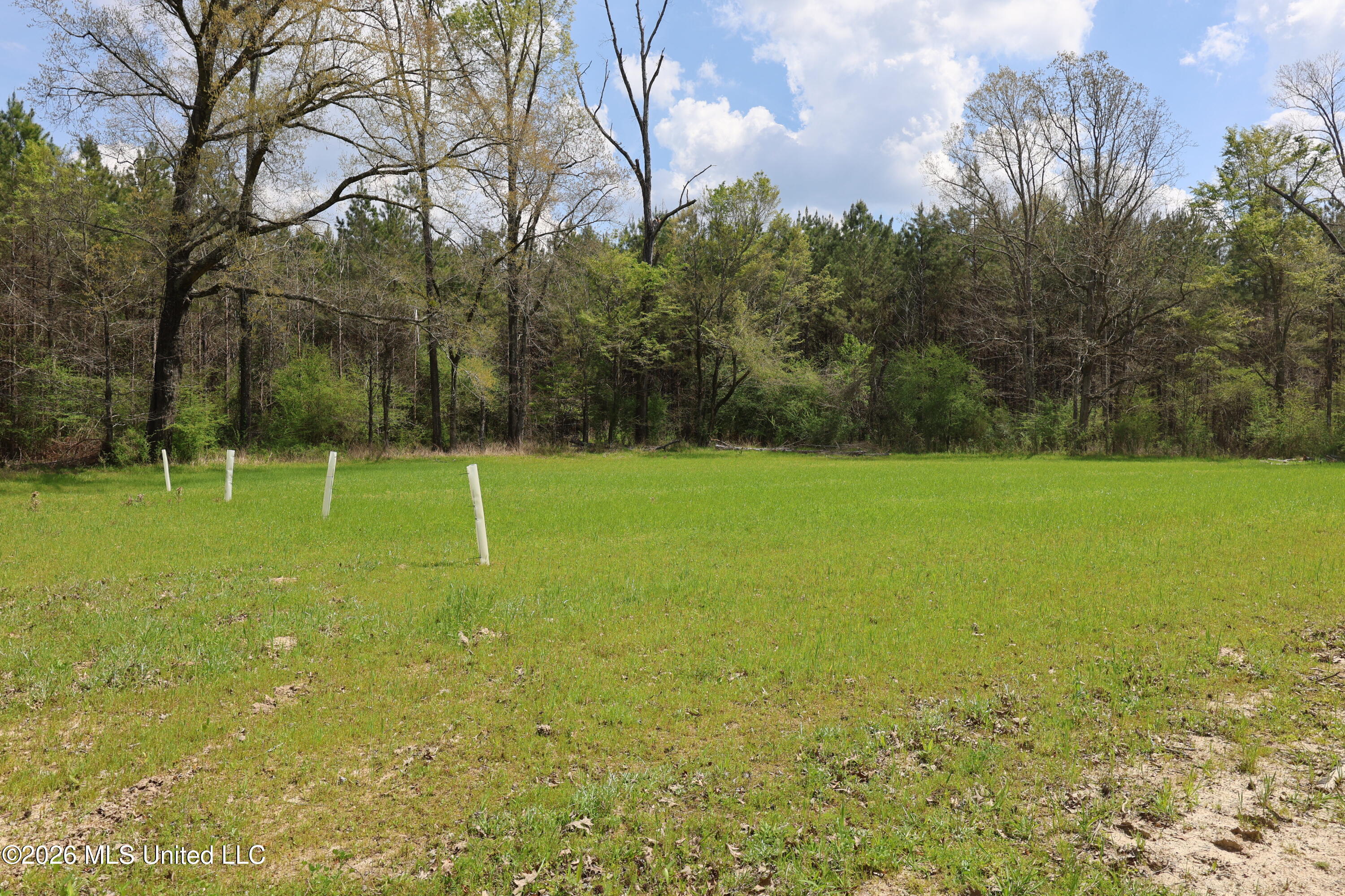 3194 James Road Hazlehurst, MS 39083 - Photo 61 of 114 A3025E80-EDCB-4600-84EA-03555CD68514