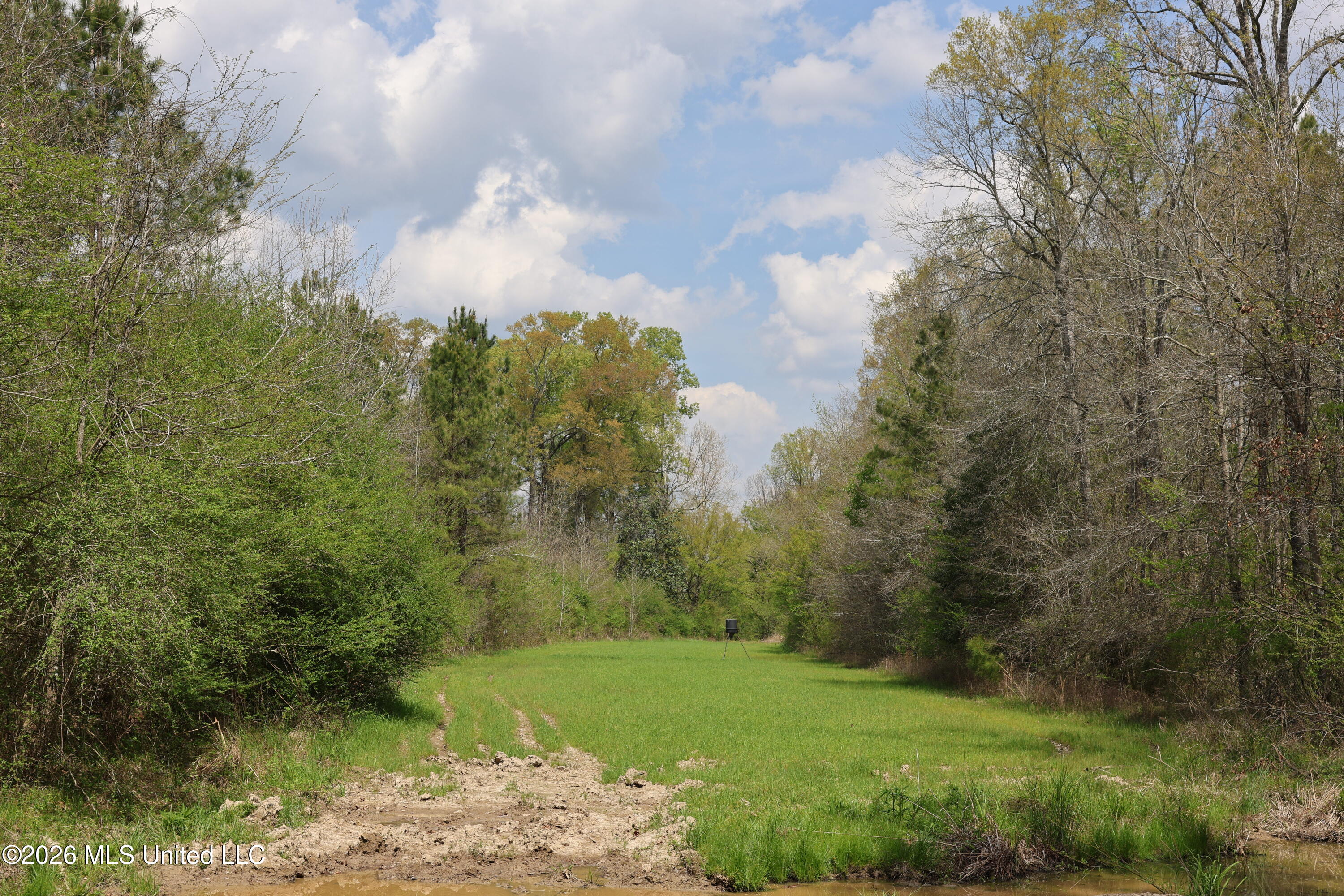 3194 James Road Hazlehurst, MS 39083 - Photo 62 of 114 B16C11A7-3BC2-4BE1-BE89-4C778A3D10E6