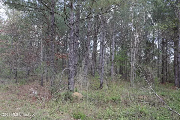 $1,848,000 | 3194 James Road, Hazlehurst, MS 39083