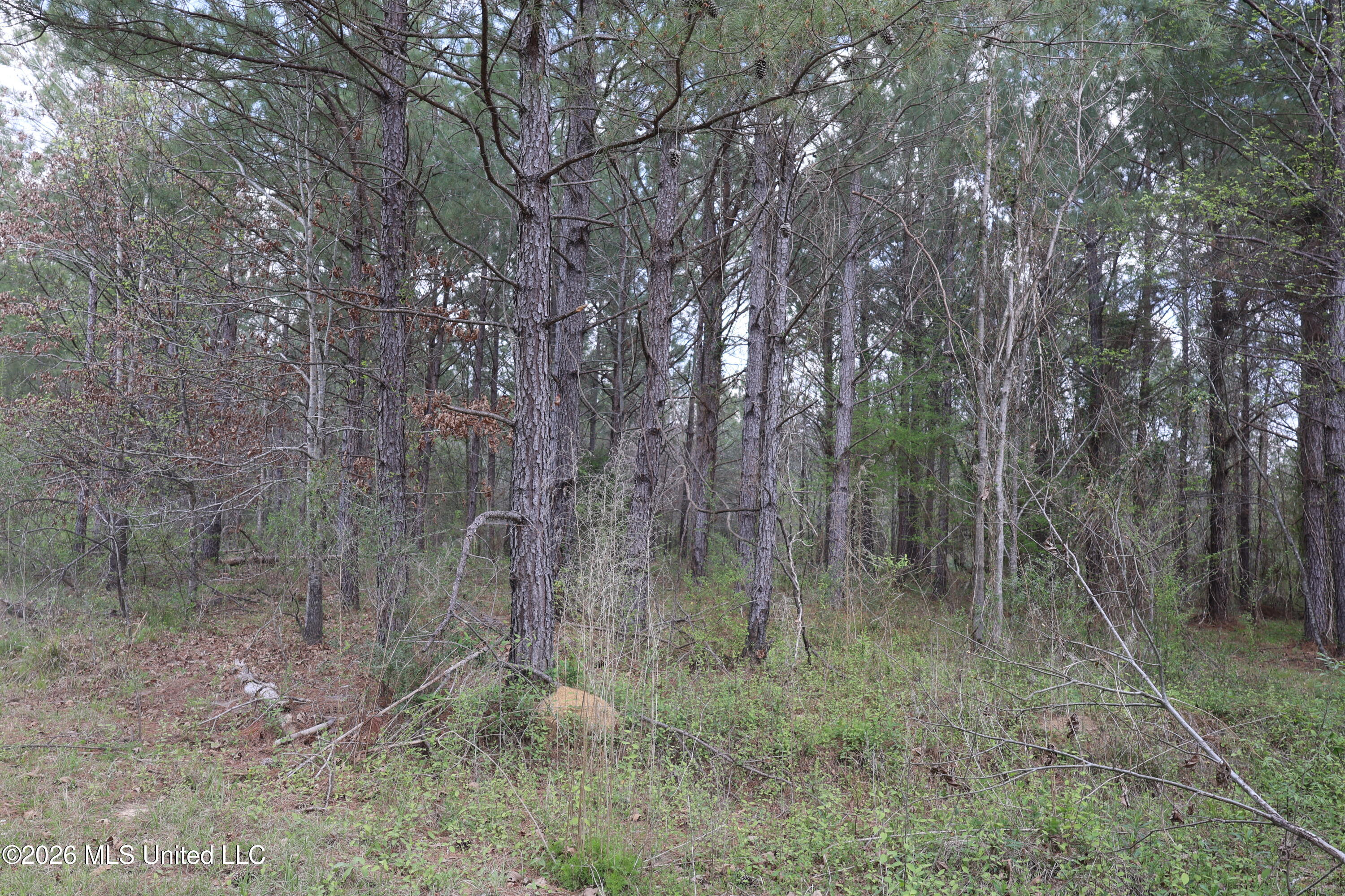 3194 James Road Hazlehurst, MS 39083 - Photo 63 of 114 B944B169-C9CC-44EC-9F75-8A881ECC67D5