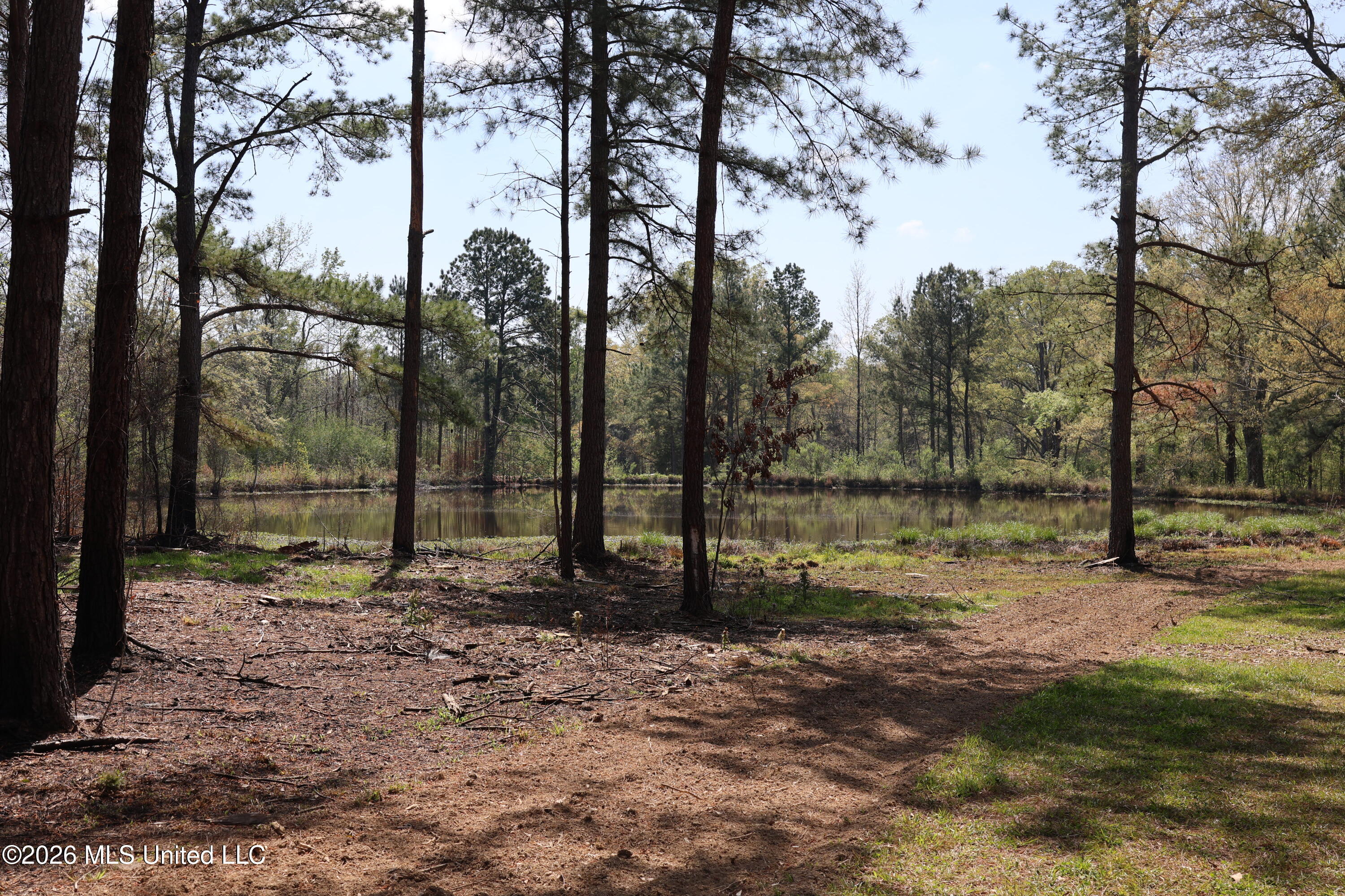 3194 James Road Hazlehurst, MS 39083 - Photo 64 of 114 B970F99A-8BA9-46A6-B186-2A2E6CD2E40B