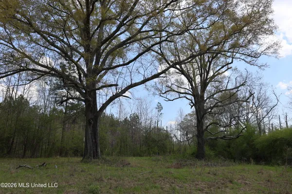 $1,848,000 | 3194 James Road, Hazlehurst, MS 39083