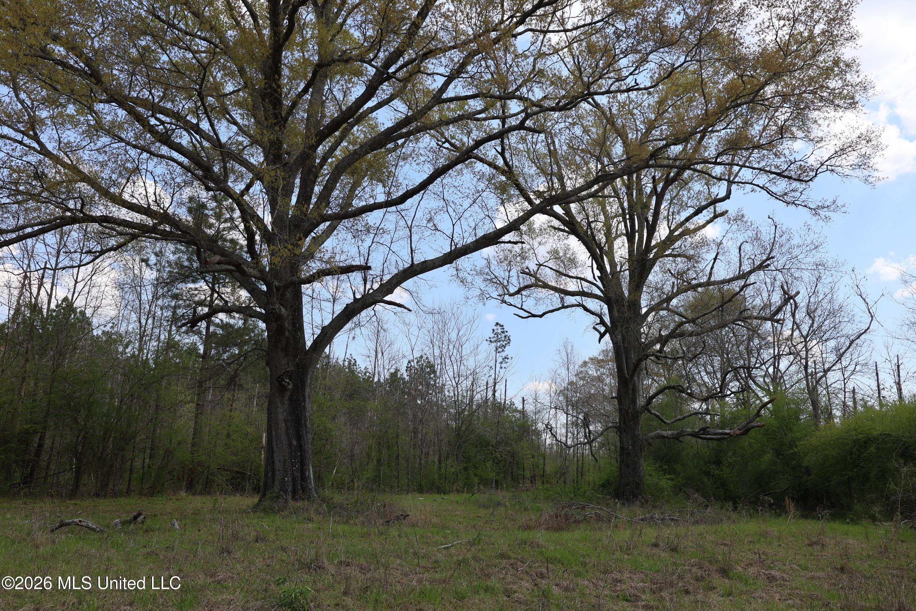 3194 James Road Hazlehurst, MS 39083 - Photo 65 of 114 BAC499D9-006A-4250-90DF-ACEDD11AEB33