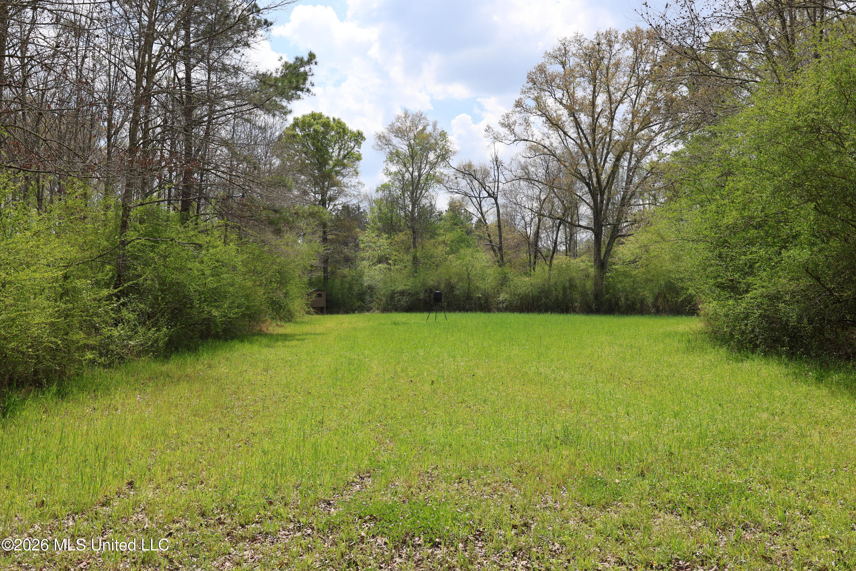 3194 James Road Hazlehurst, MS 39083 - Photo 67 of 114 C1DA4D8F-4915-410A-B7B0-C77E6F7DB335