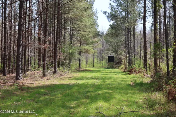 $1,848,000 | 3194 James Road, Hazlehurst, MS 39083