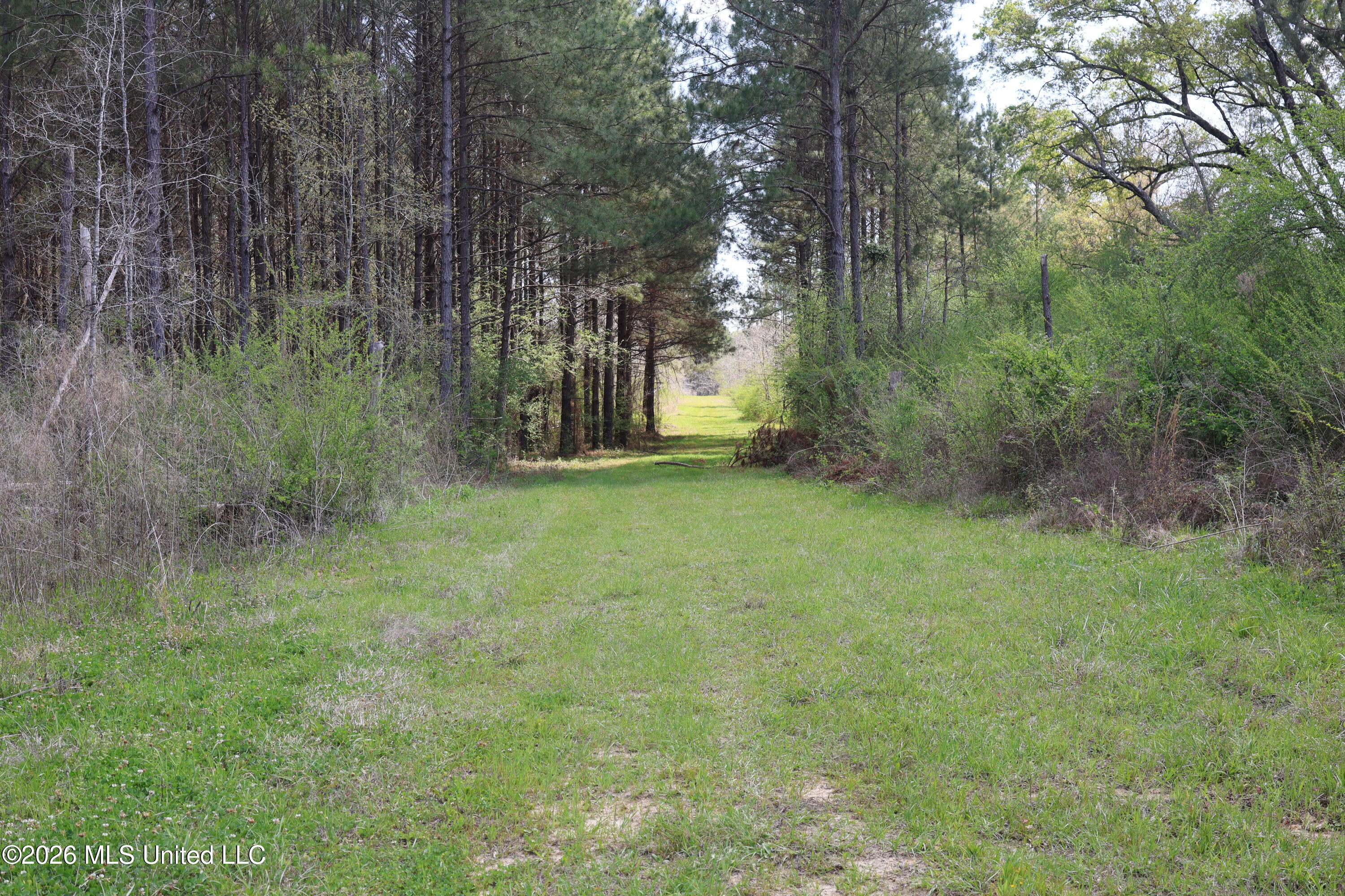 3194 James Road Hazlehurst, MS 39083 - Photo 70 of 114 CEADF830-78D6-4F62-9093-D86C81A49F4A