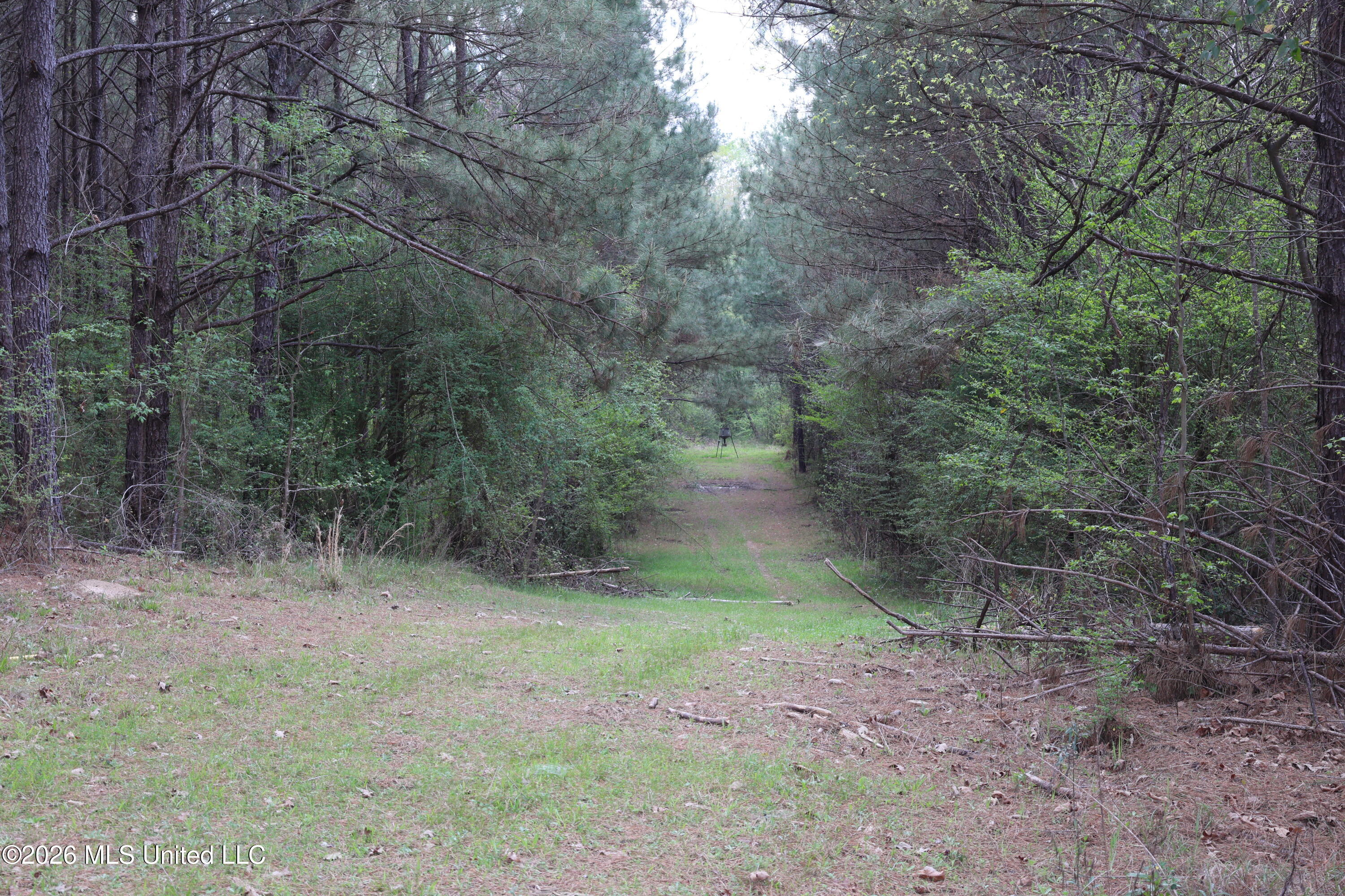 3194 James Road Hazlehurst, MS 39083 - Photo 71 of 114 D37D05A3-2338-4613-8F22-01DE6F9DCB67