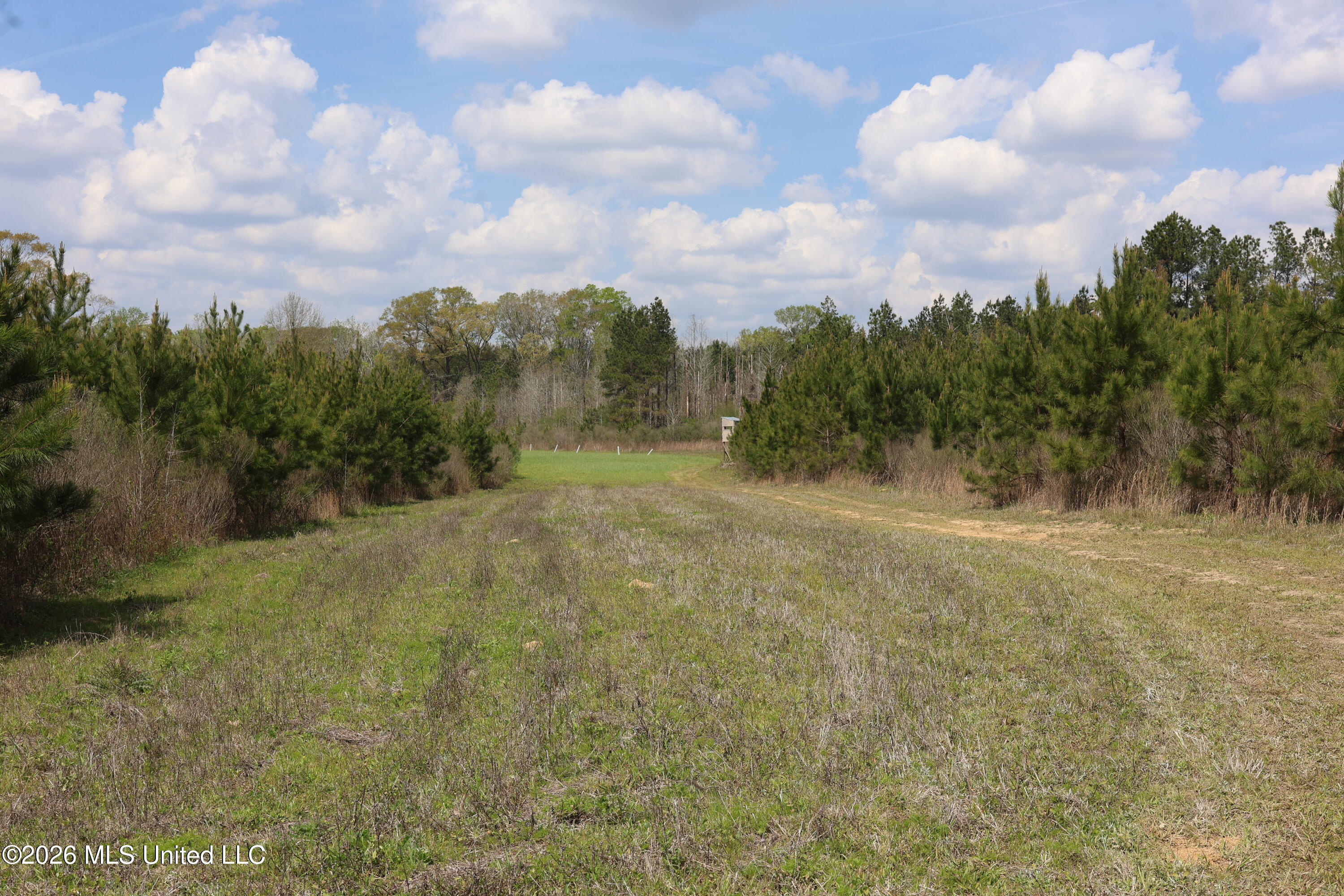 3194 James Road Hazlehurst, MS 39083 - Photo 73 of 114 D2150AB9-7180-4B1A-B724-511988930A23