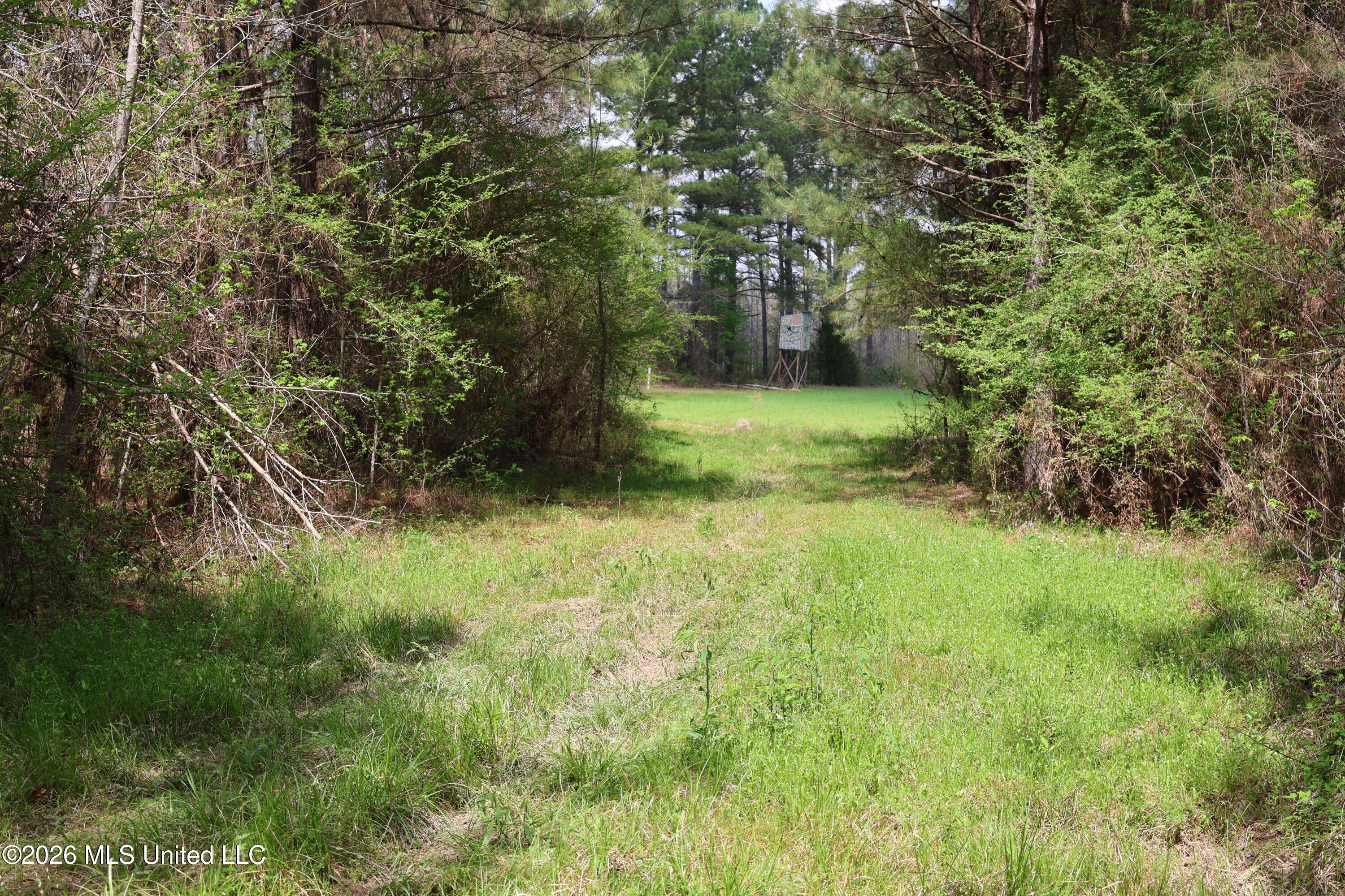 3194 James Road Hazlehurst, MS 39083 - Photo 74 of 114 E0FA2E66-375B-49AF-9D4D-C7D80332BB9E