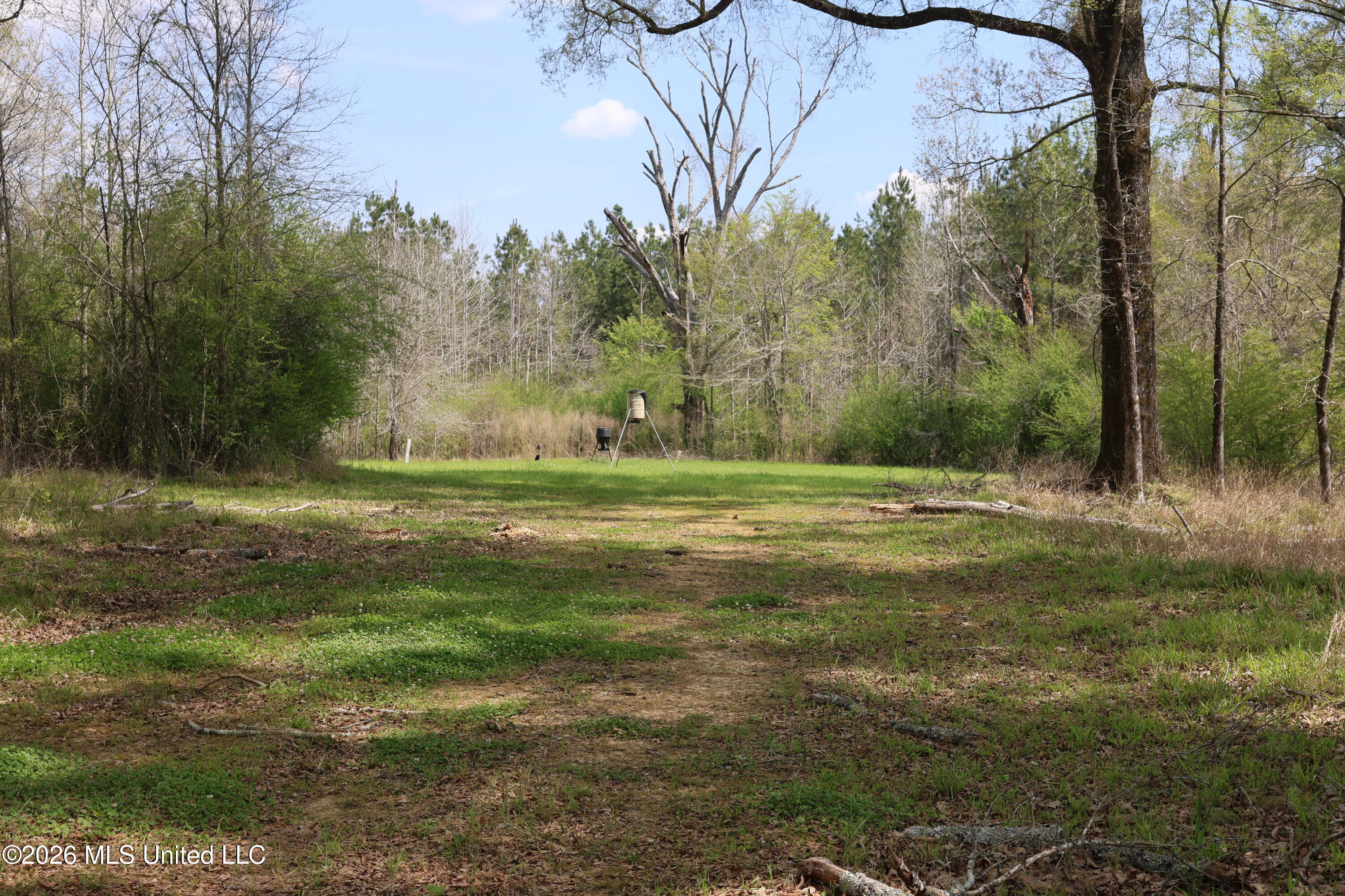 3194 James Road Hazlehurst, MS 39083 - Photo 78 of 114 EB840D32-A9C2-44CB-97A7-EB500190B376