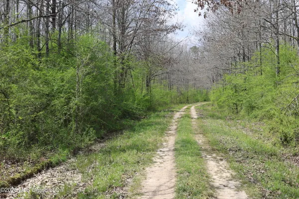 $1,848,000 | 3194 James Road, Hazlehurst, MS 39083