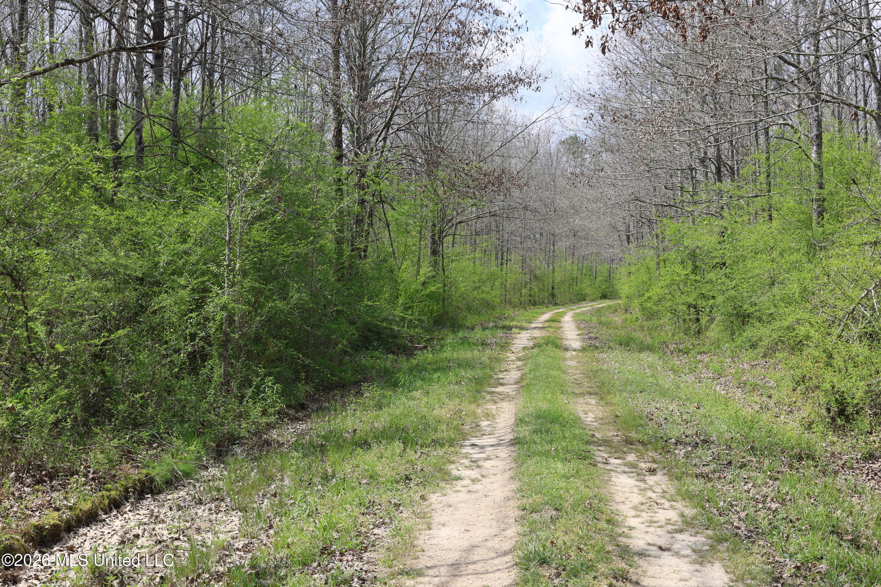 3194 James Road Hazlehurst, MS 39083 - Photo 81 of 114 F6F93DEE-4380-4FAD-9E9C-34DCB60C38C1