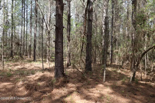 $1,848,000 | 3194 James Road, Hazlehurst, MS 39083