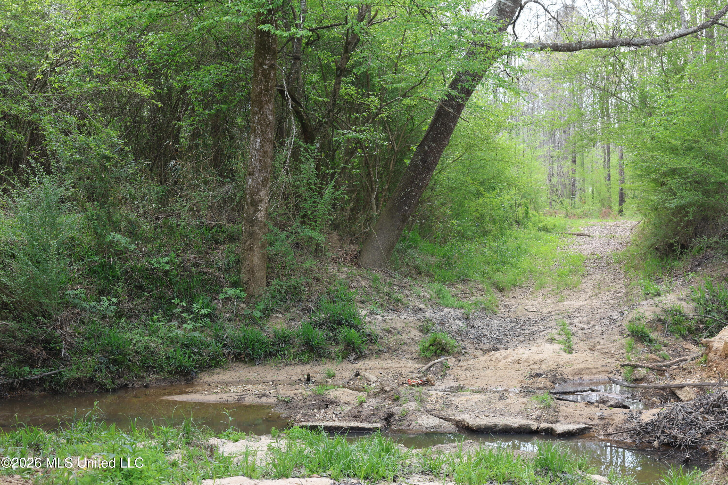 3194 James Road Hazlehurst, MS 39083 - Photo 85 of 114 FE213B53-51CD-4544-A4E1-CA3A66AED564