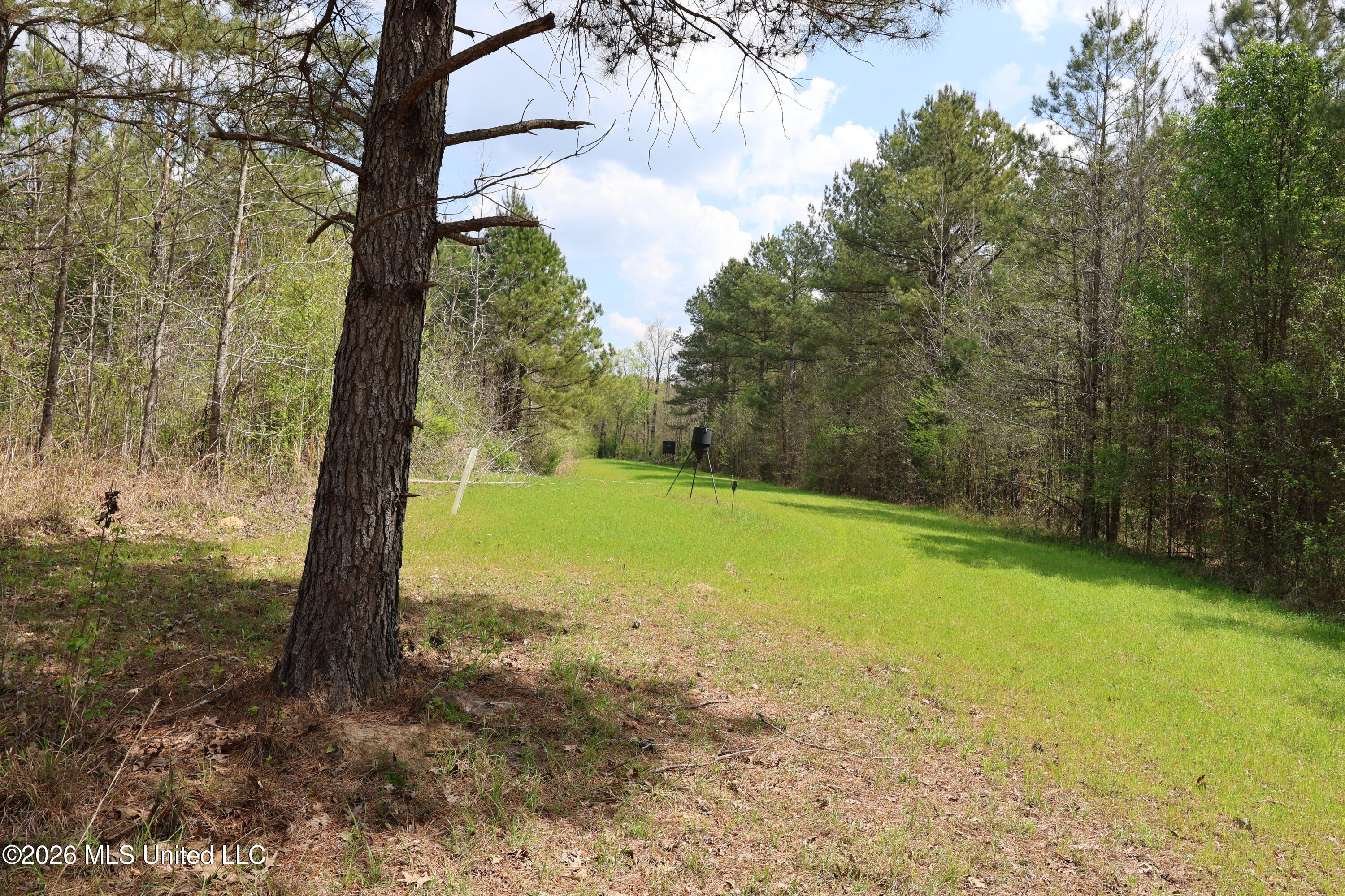 3194 James Road Hazlehurst, MS 39083 - Photo 86 of 114 FE197459-A0B0-467B-BC10-DD9DC5E6E691