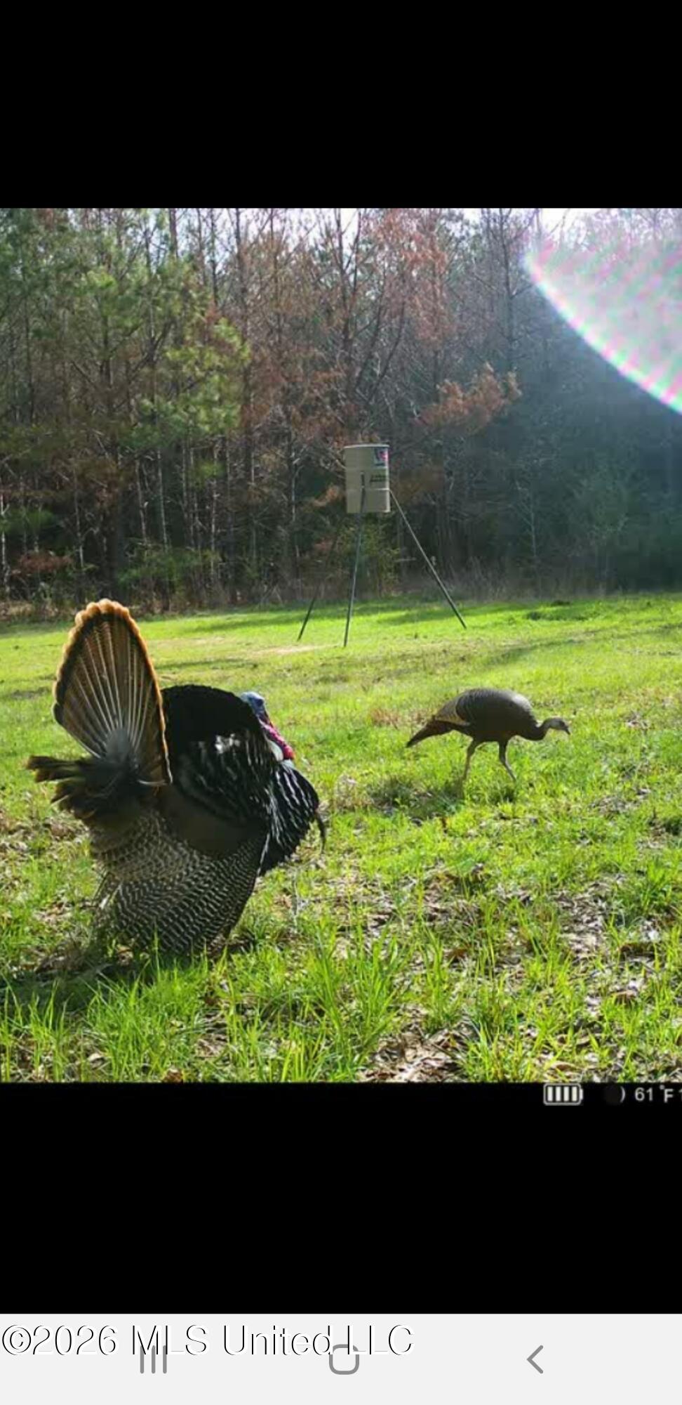 3194 James Road Hazlehurst, MS 39083 - Photo 87 of 114 1986