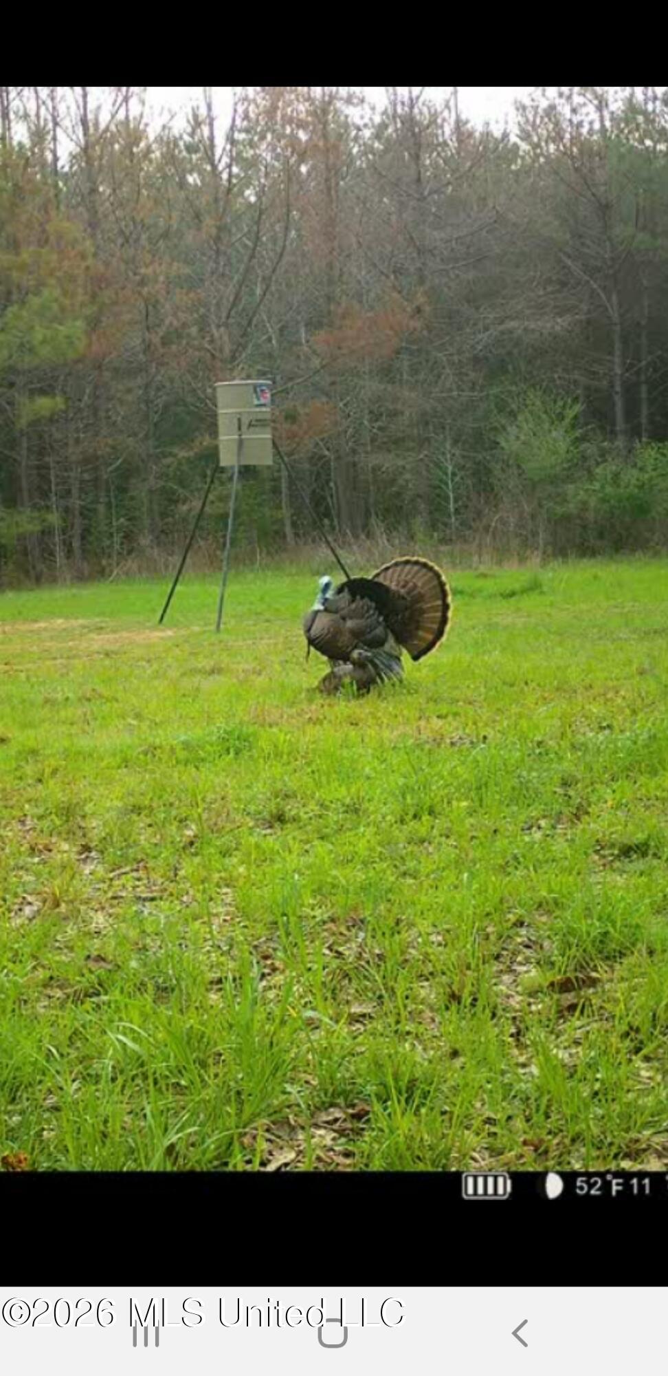 3194 James Road Hazlehurst, MS 39083 - Photo 88 of 114 1997