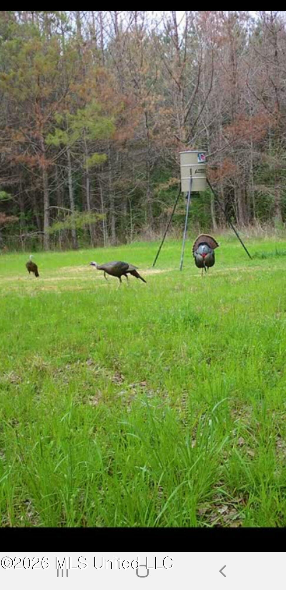 3194 James Road Hazlehurst, MS 39083 - Photo 89 of 114 2033