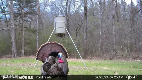 $1,848,000 | 3194 James Road, Hazlehurst, MS 39083