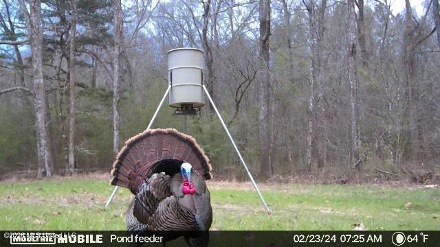 3194 James Road Hazlehurst, MS 39083 - Photo 90 of 114 1923