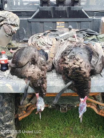 $1,848,000 | 3194 James Road, Hazlehurst, MS 39083