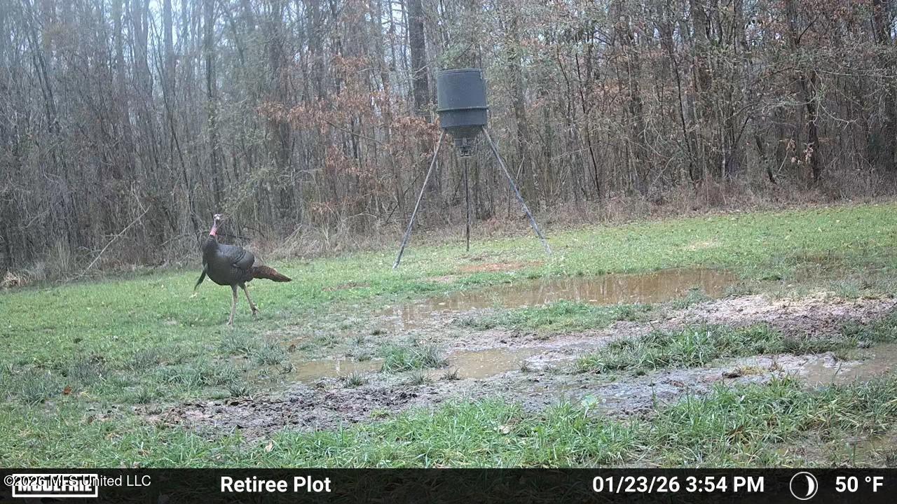 3194 James Road Hazlehurst, MS 39083 - Photo 92 of 114 3625