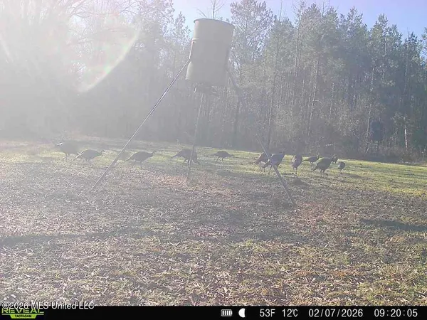 $1,848,000 | 3194 James Road, Hazlehurst, MS 39083