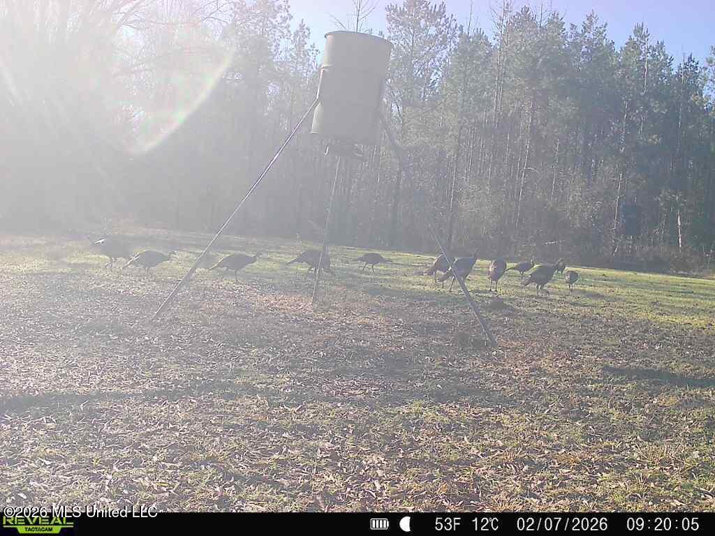 3194 James Road Hazlehurst, MS 39083 - Photo 93 of 114 3623