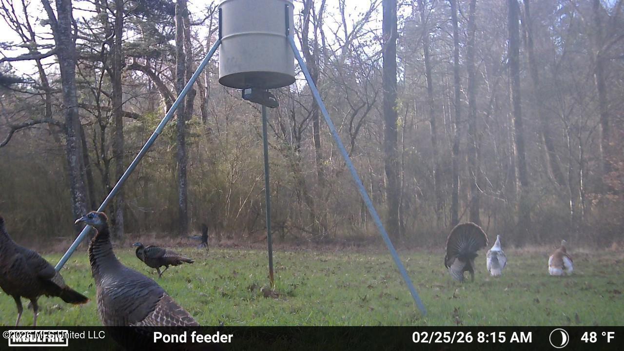 3194 James Road Hazlehurst, MS 39083 - Photo 94 of 114 3621