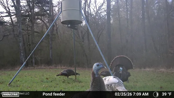 $1,848,000 | 3194 James Road, Hazlehurst, MS 39083